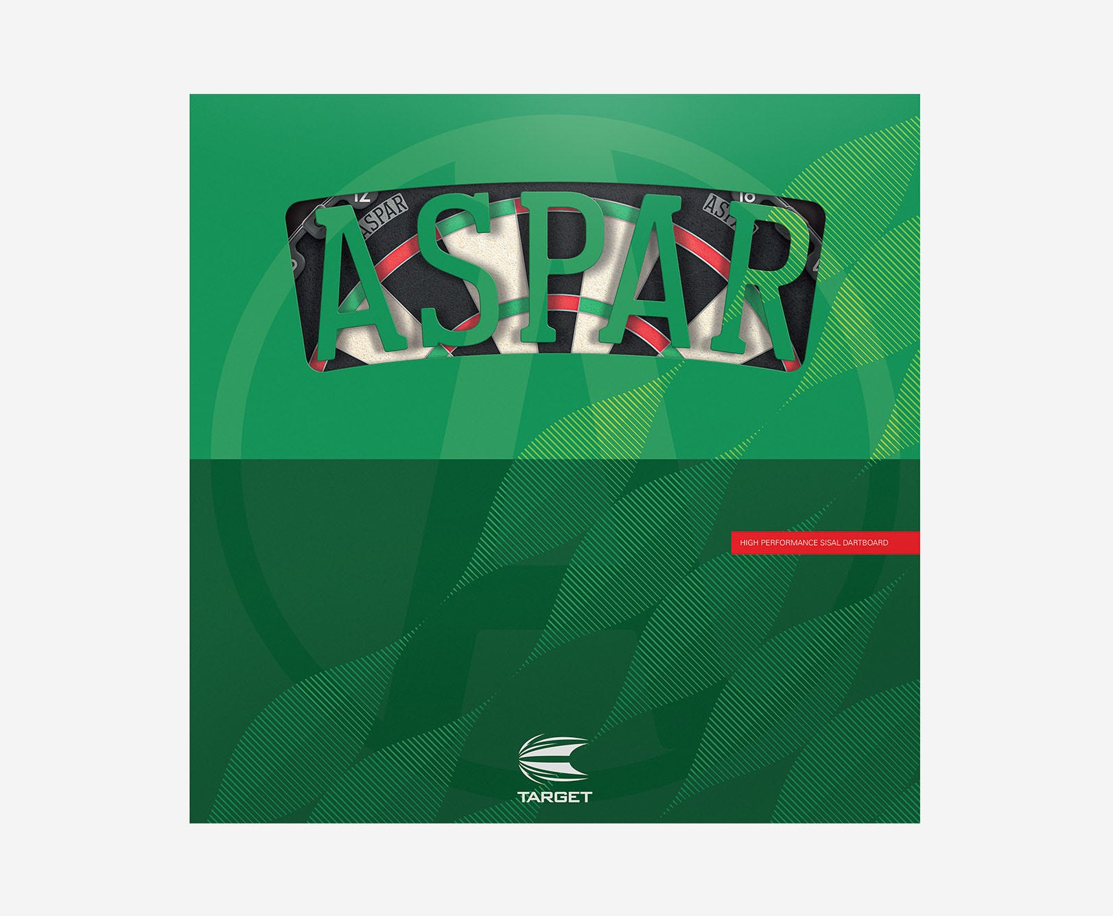 Aspar Professional Dartboard