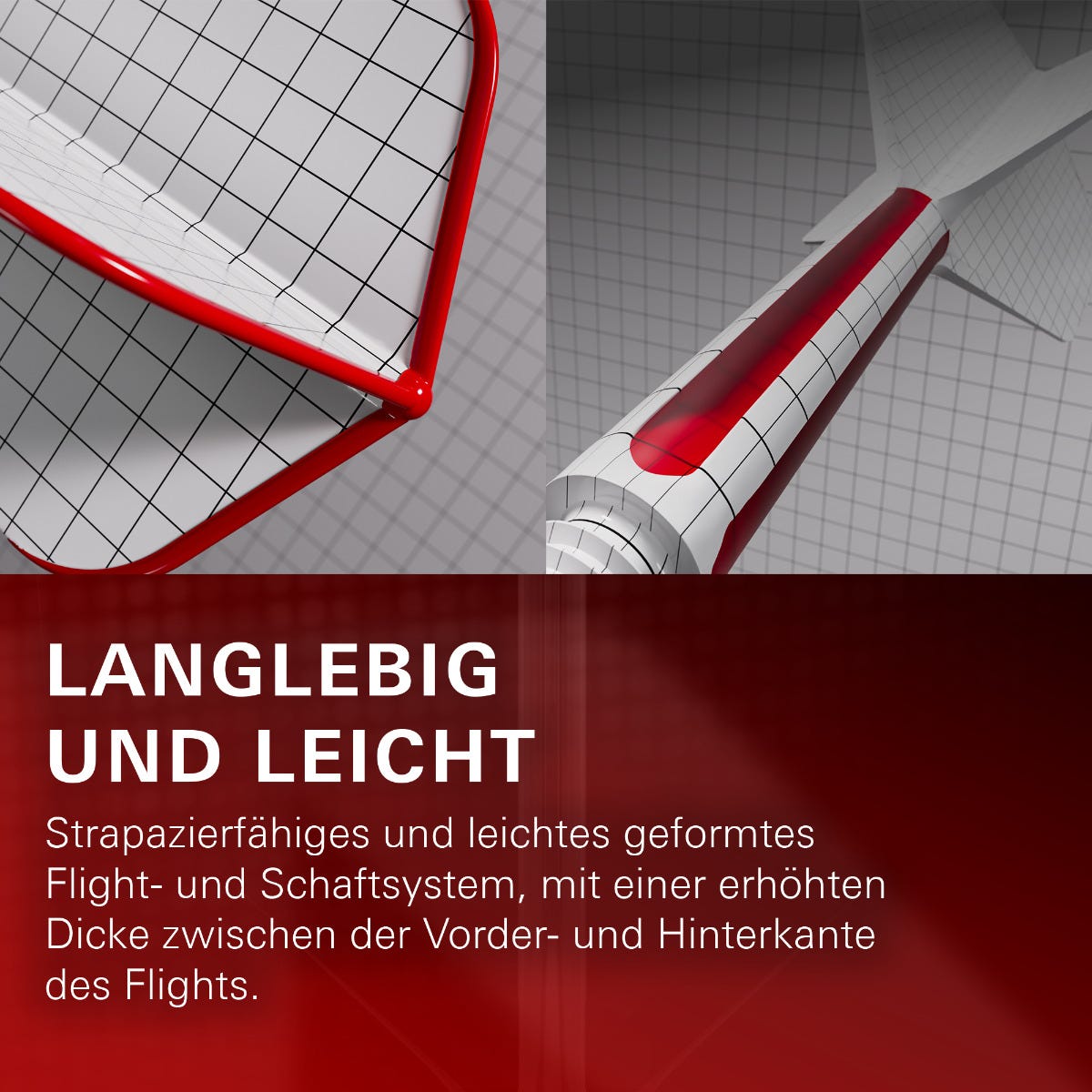 Raymond van Barneveld K-Flex No.2