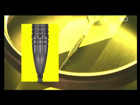 Scott Williams Black Soft Tip