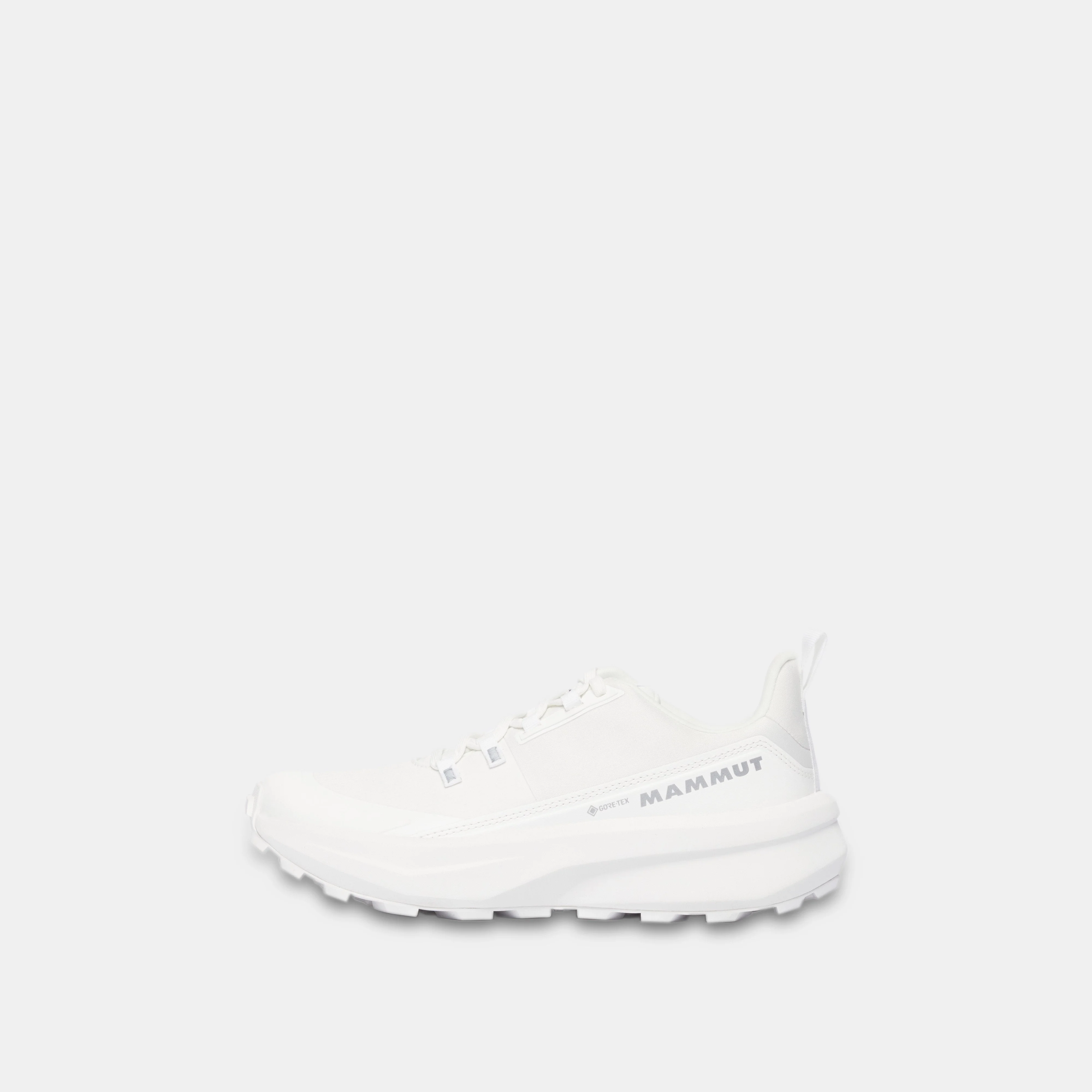 Aenergy Hike Low GTX Women 3030-05220