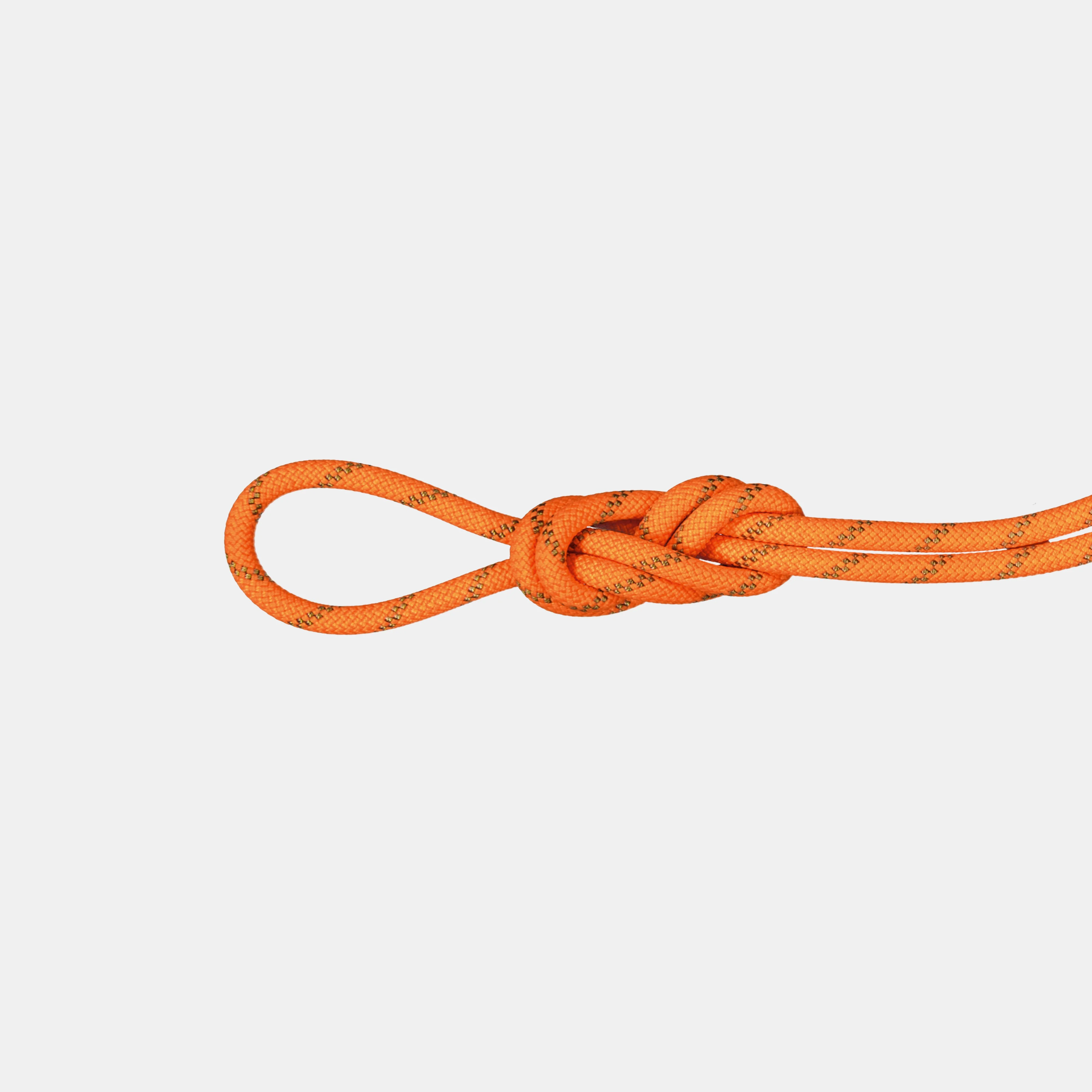 8.0 Alpine Dry Rope 70m 2010-05160