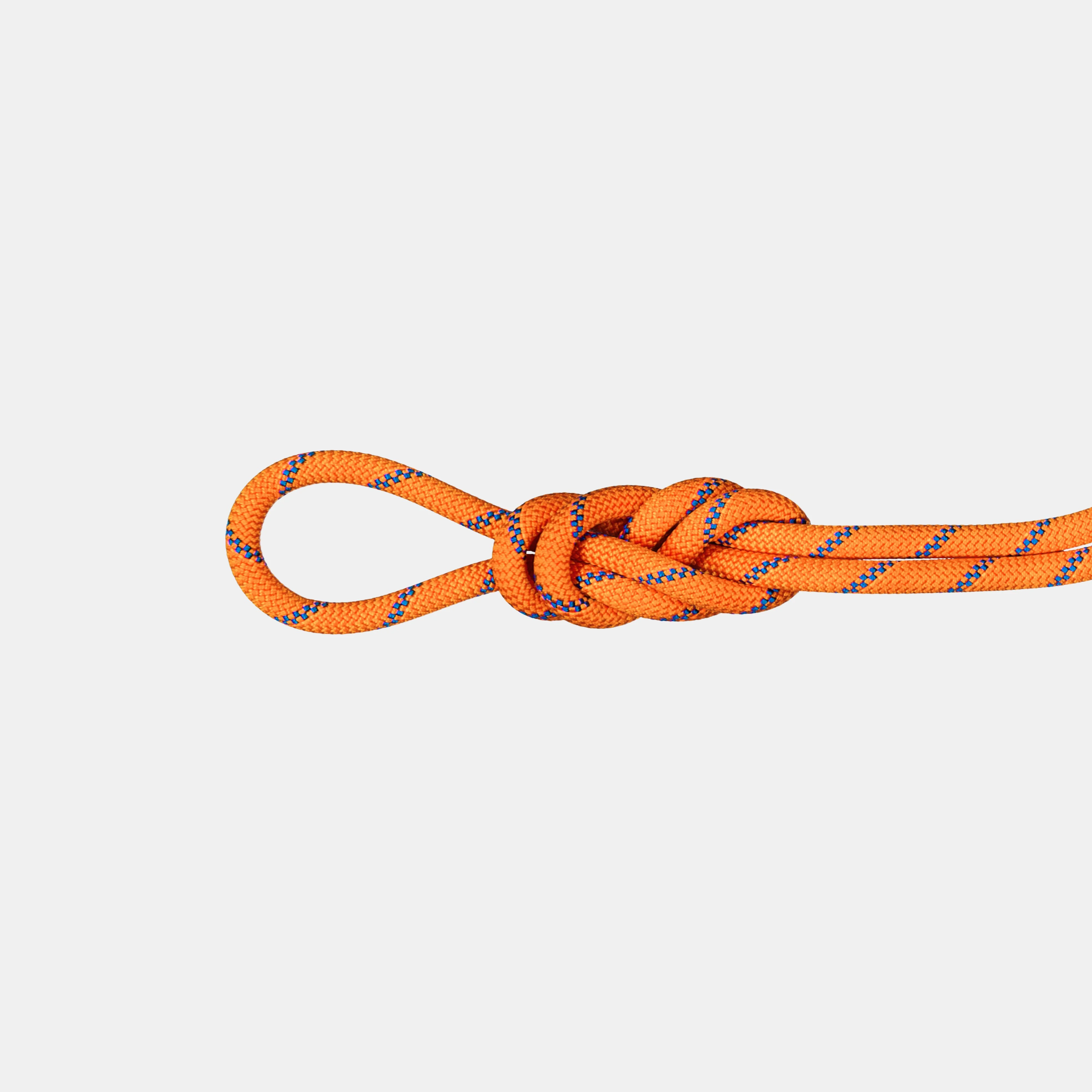 9.0 Alpine Sender Dry Rope 50m 2010-05360