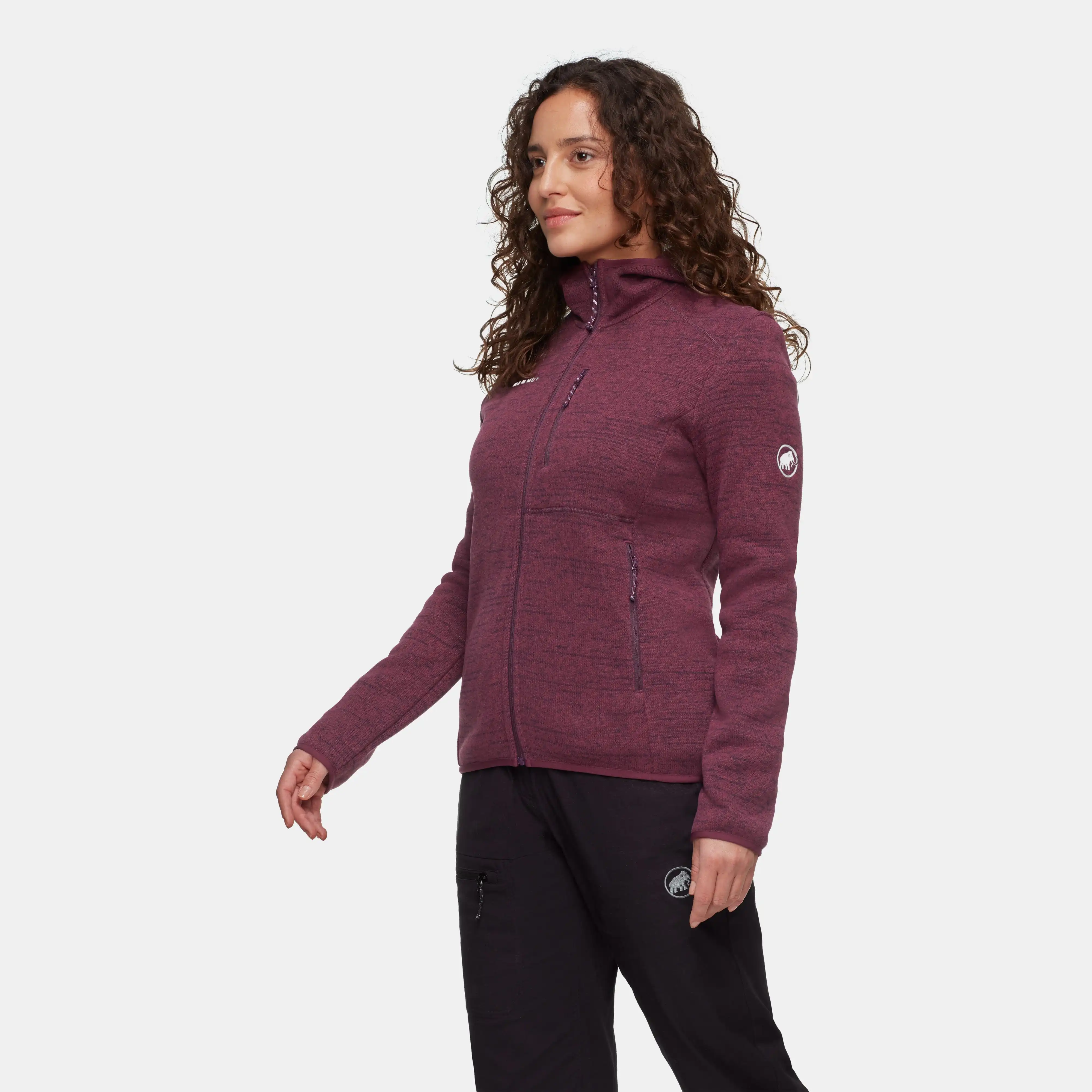 Arctic IV ML Hooded Jacket Women 1014-05770