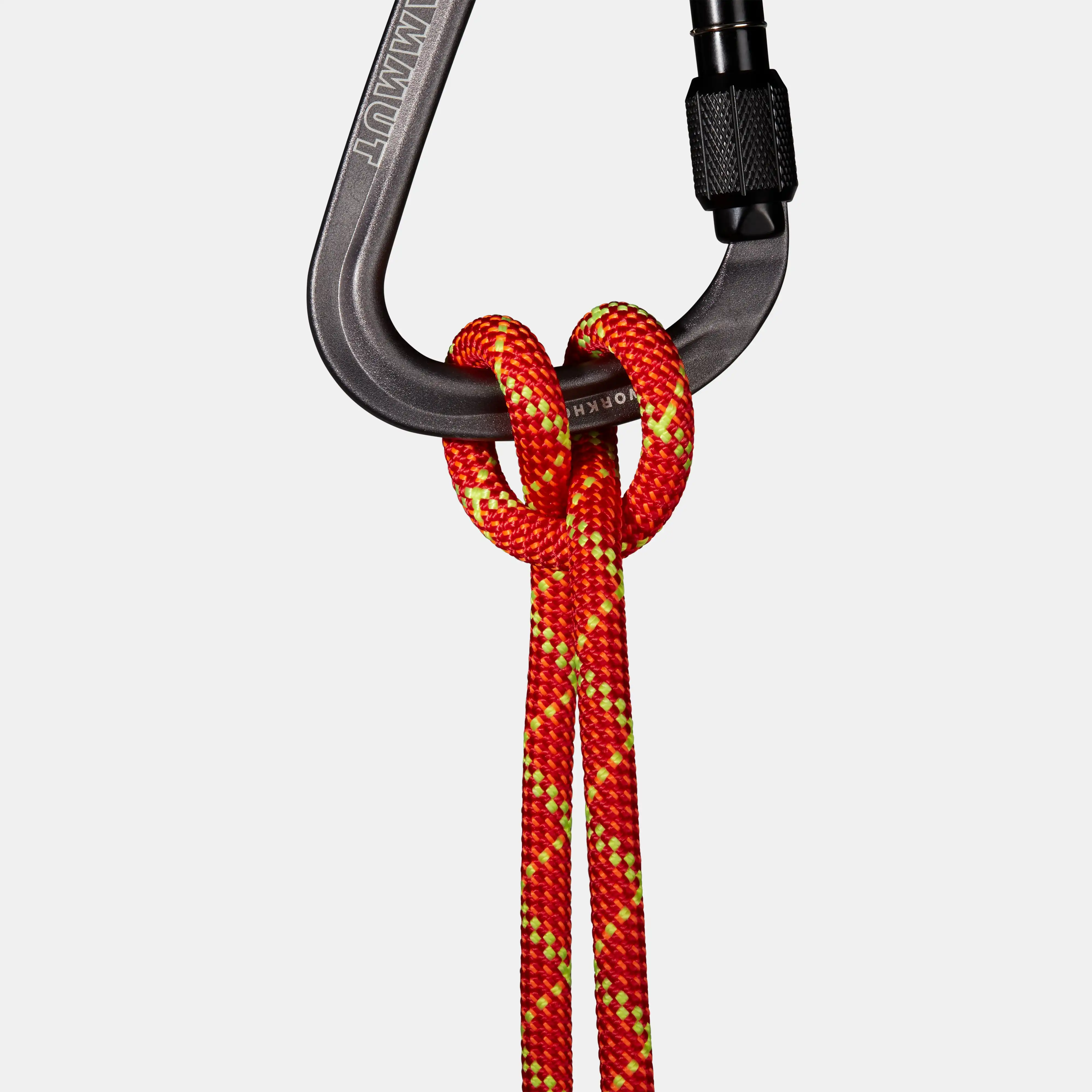 8.0 Alpine Core Protect Dry Rope 2010-04590