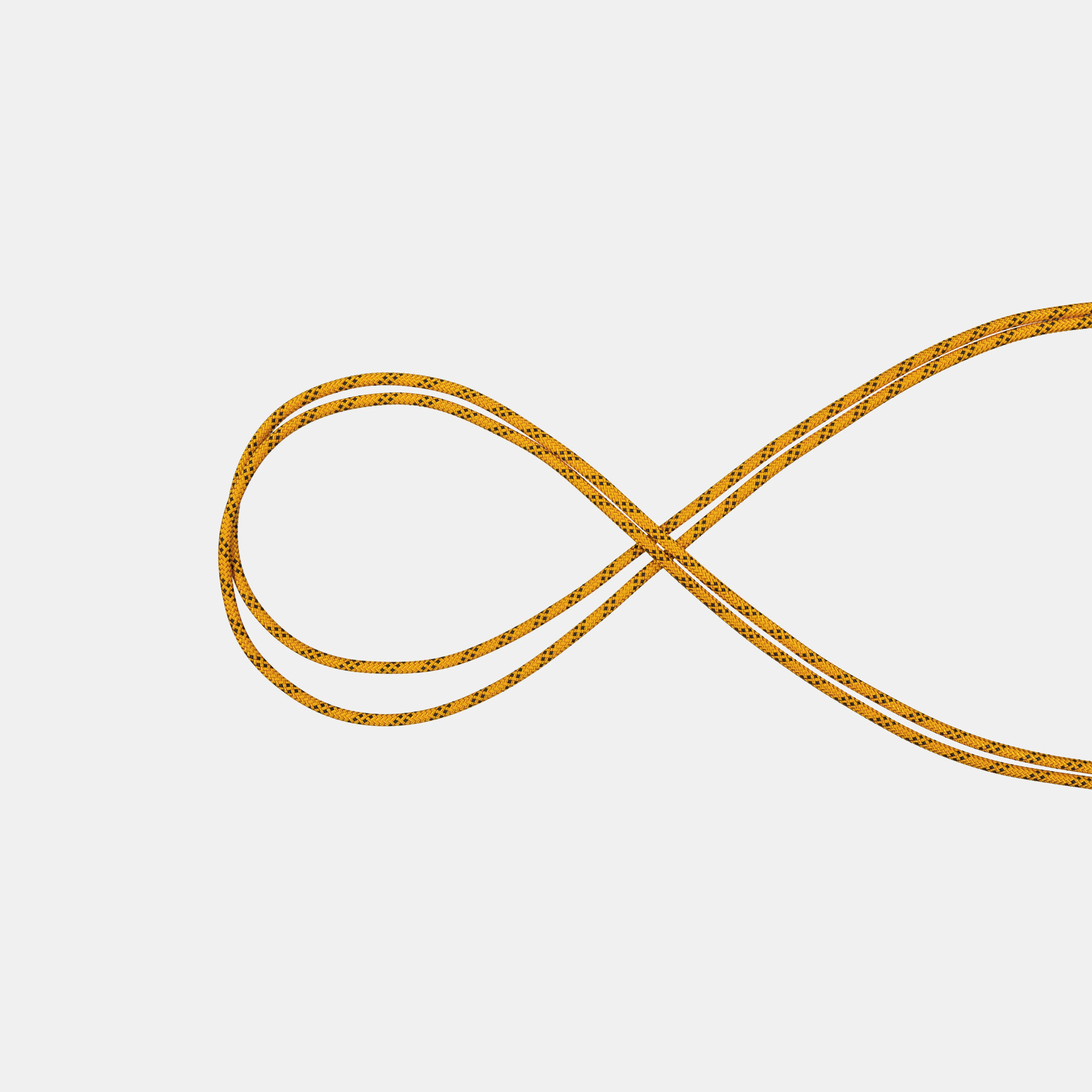 10.0 Performance Static 50m 2010-04720