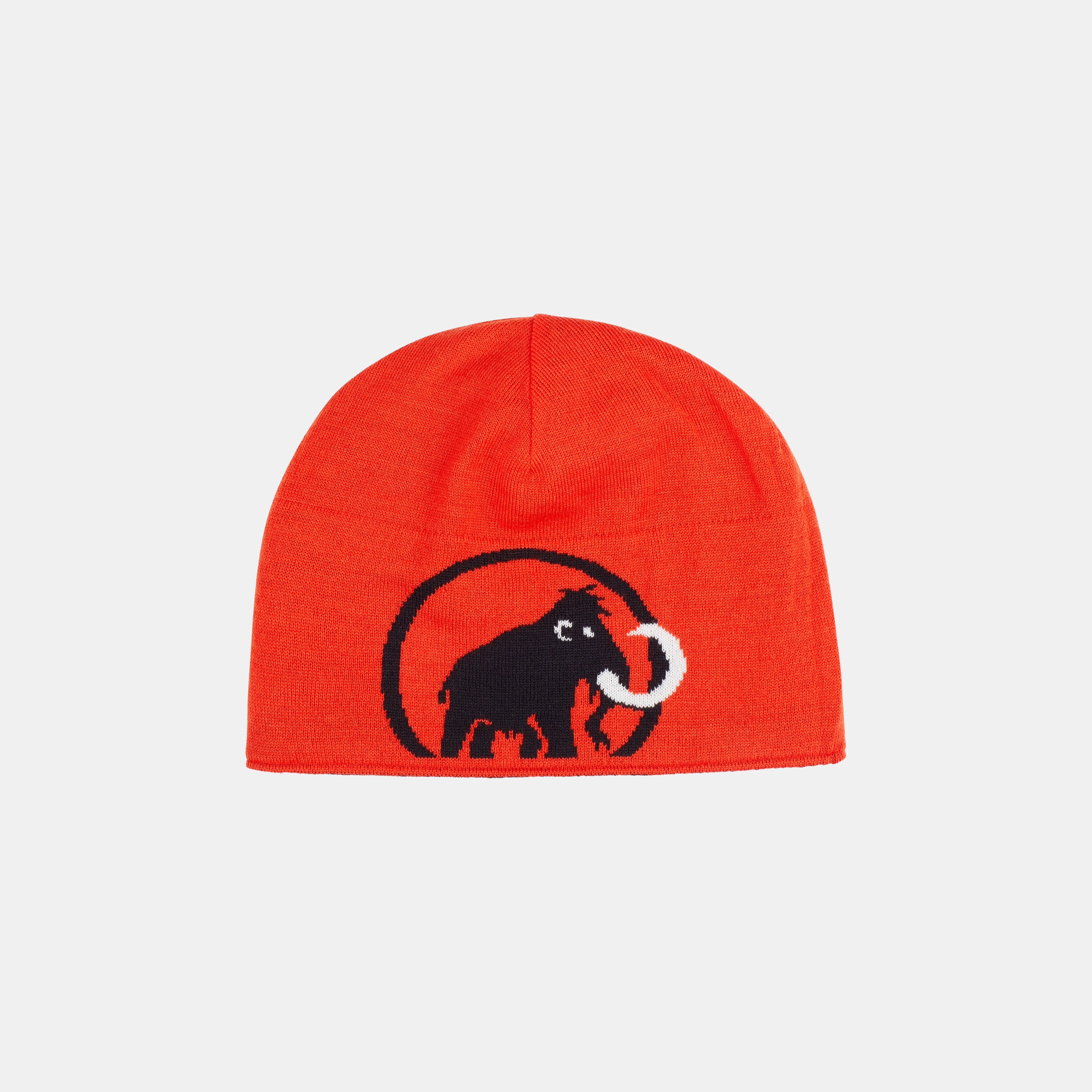 Mammut Logo Beanie 1191-04892