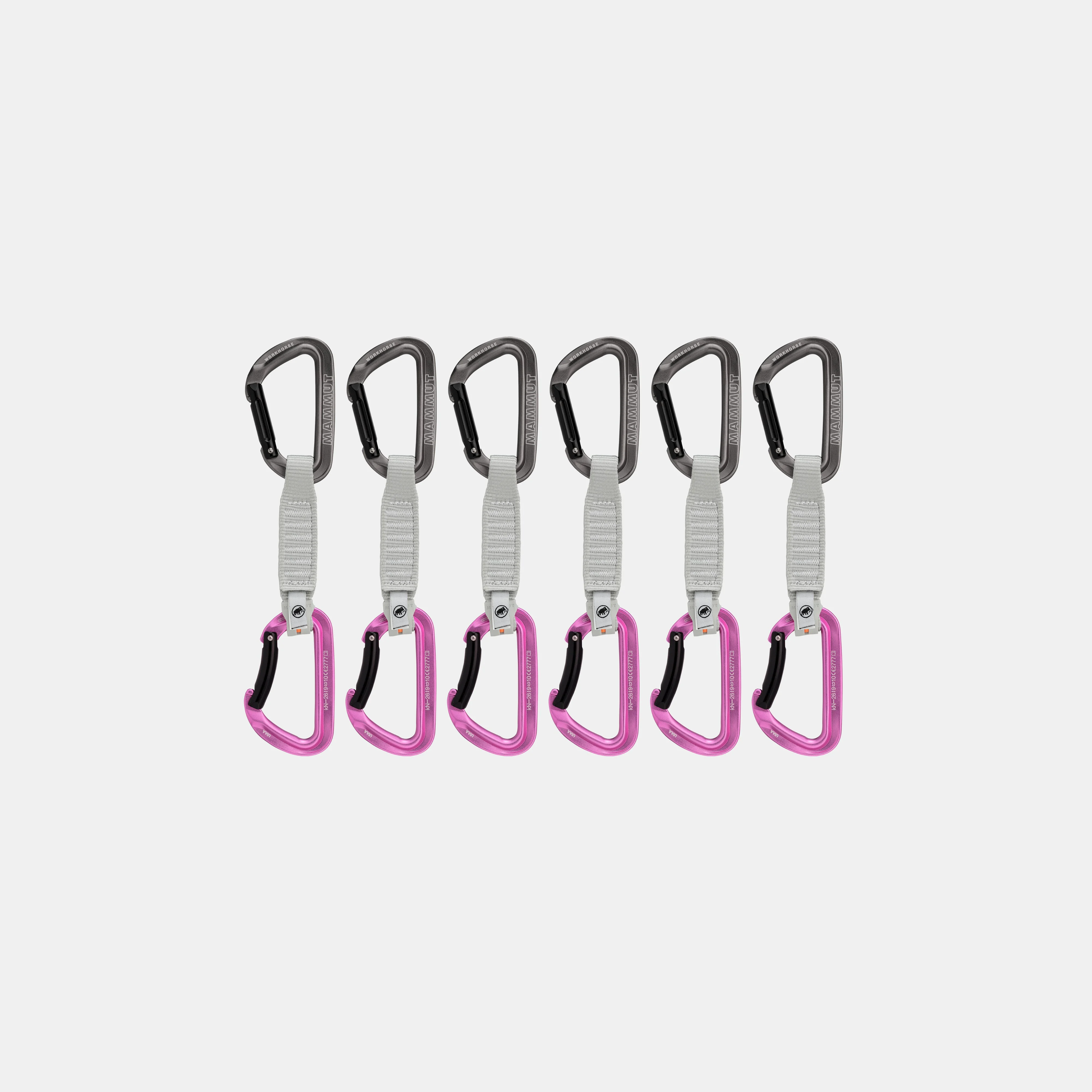 Workhorse Keylock 12 cm 6-Pack Quickdraws 2040-02571
