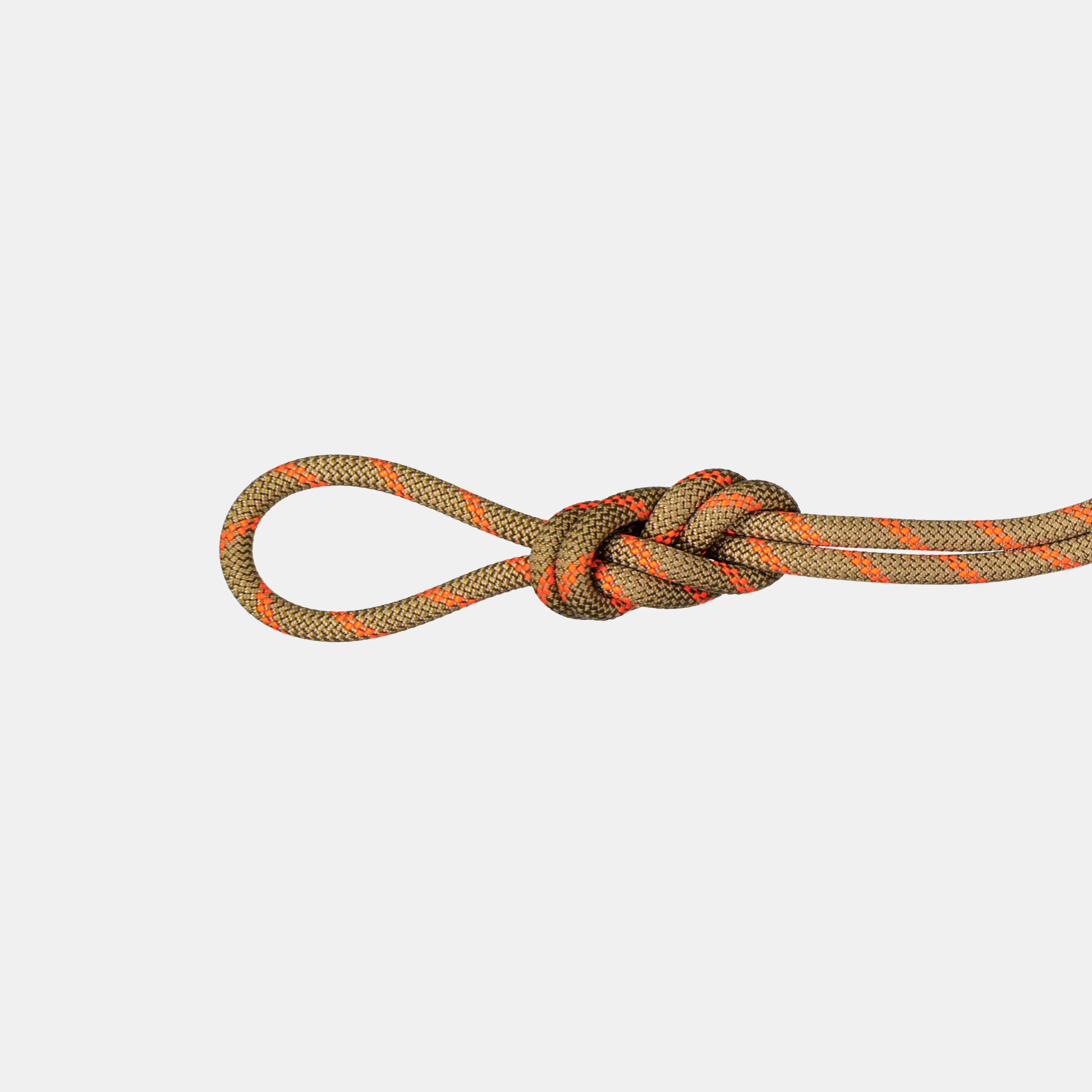 8.0 Alpine Dry Rope 2010-04350
