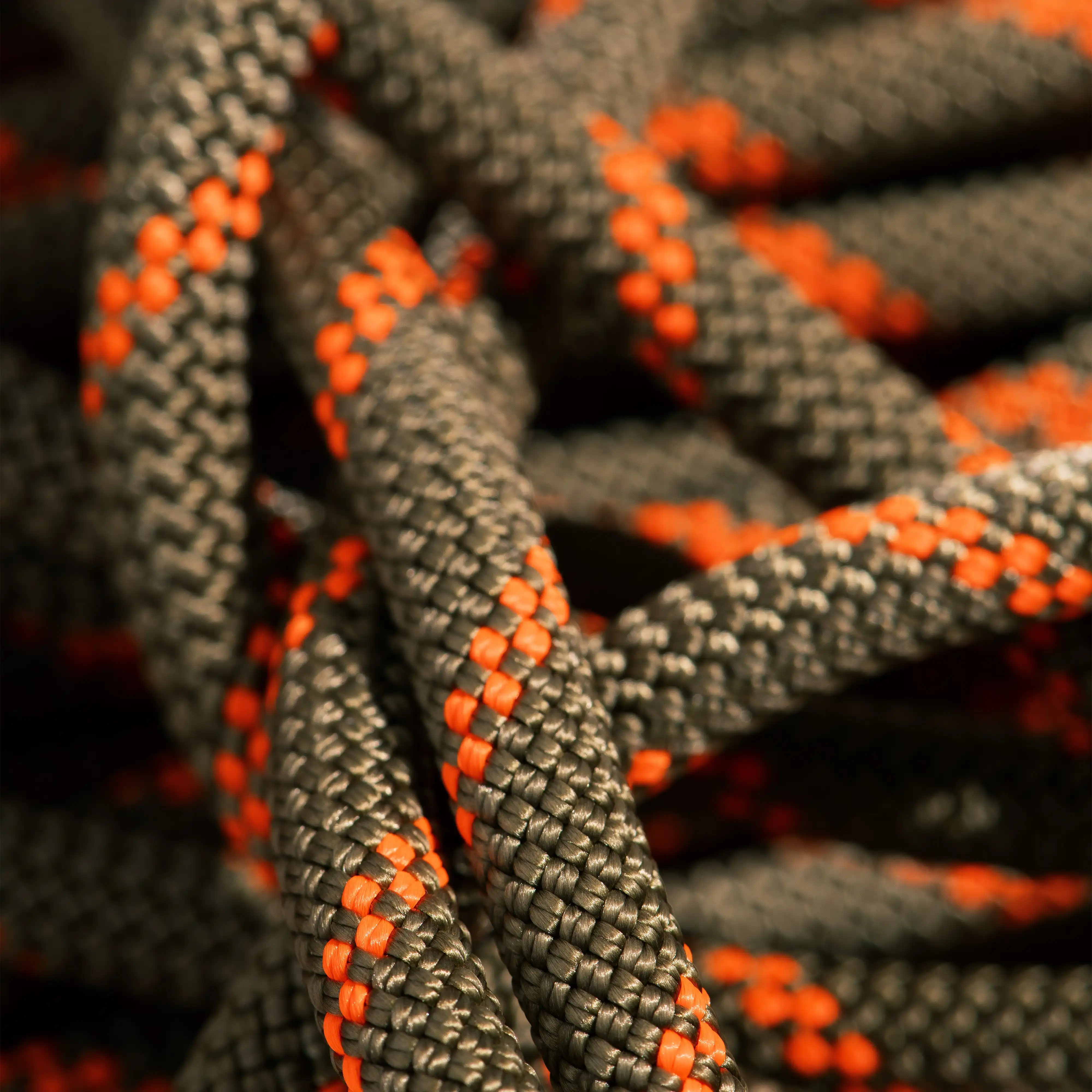 8.0 Alpine Dry Rope 2010-04350
