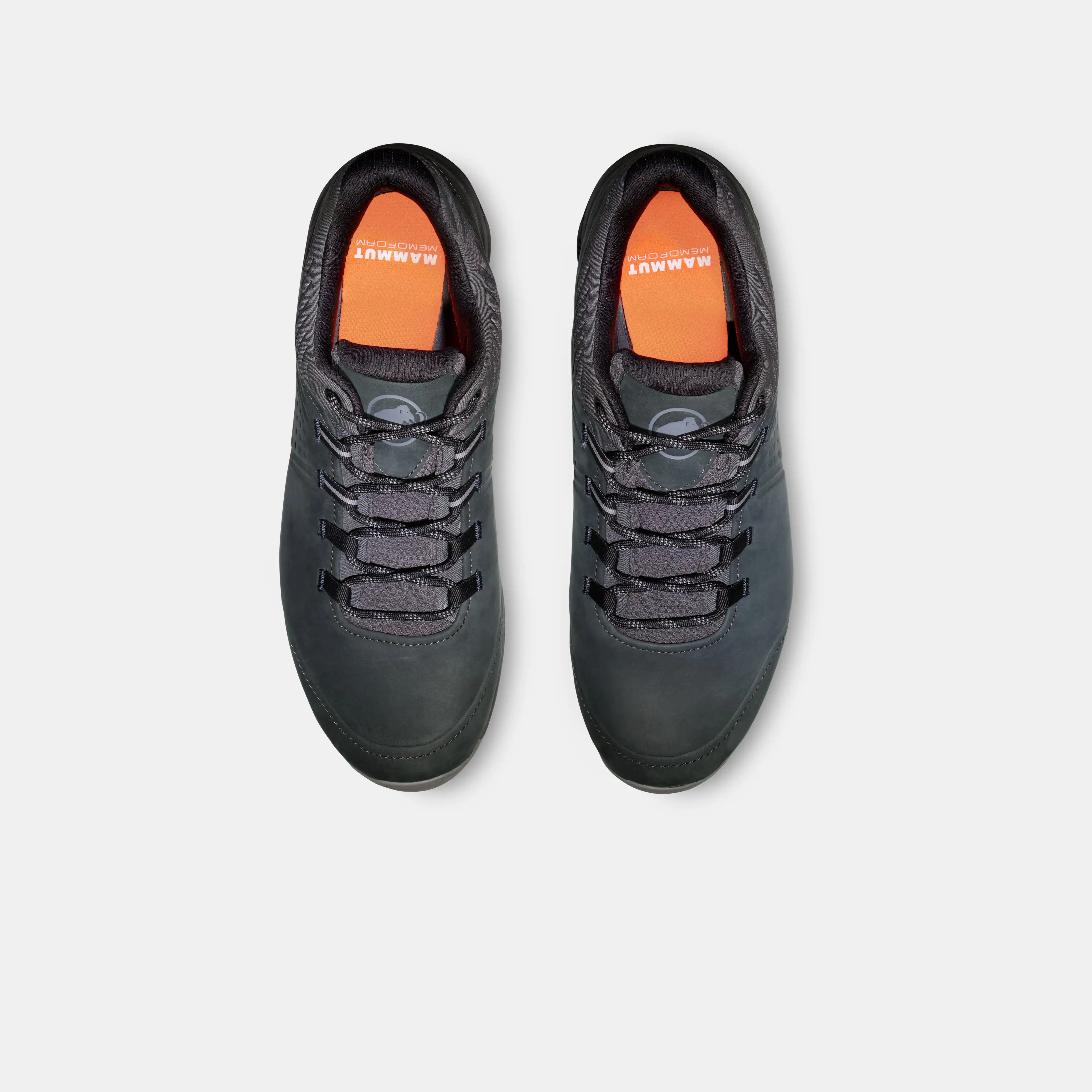 Mercury IV Low GTX Men 3030-04700