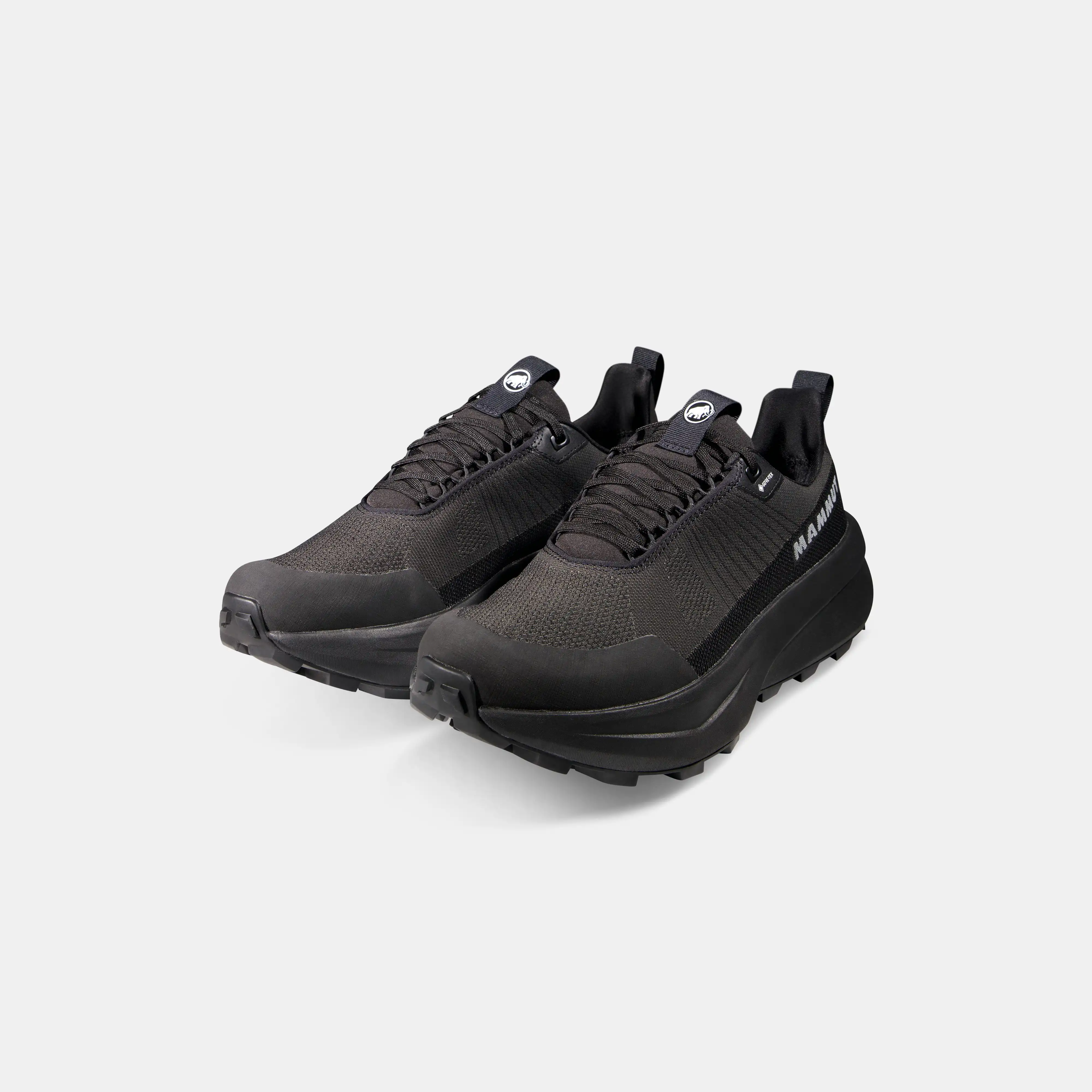 Aenergy Mtn Low GTX Men 3030-05300