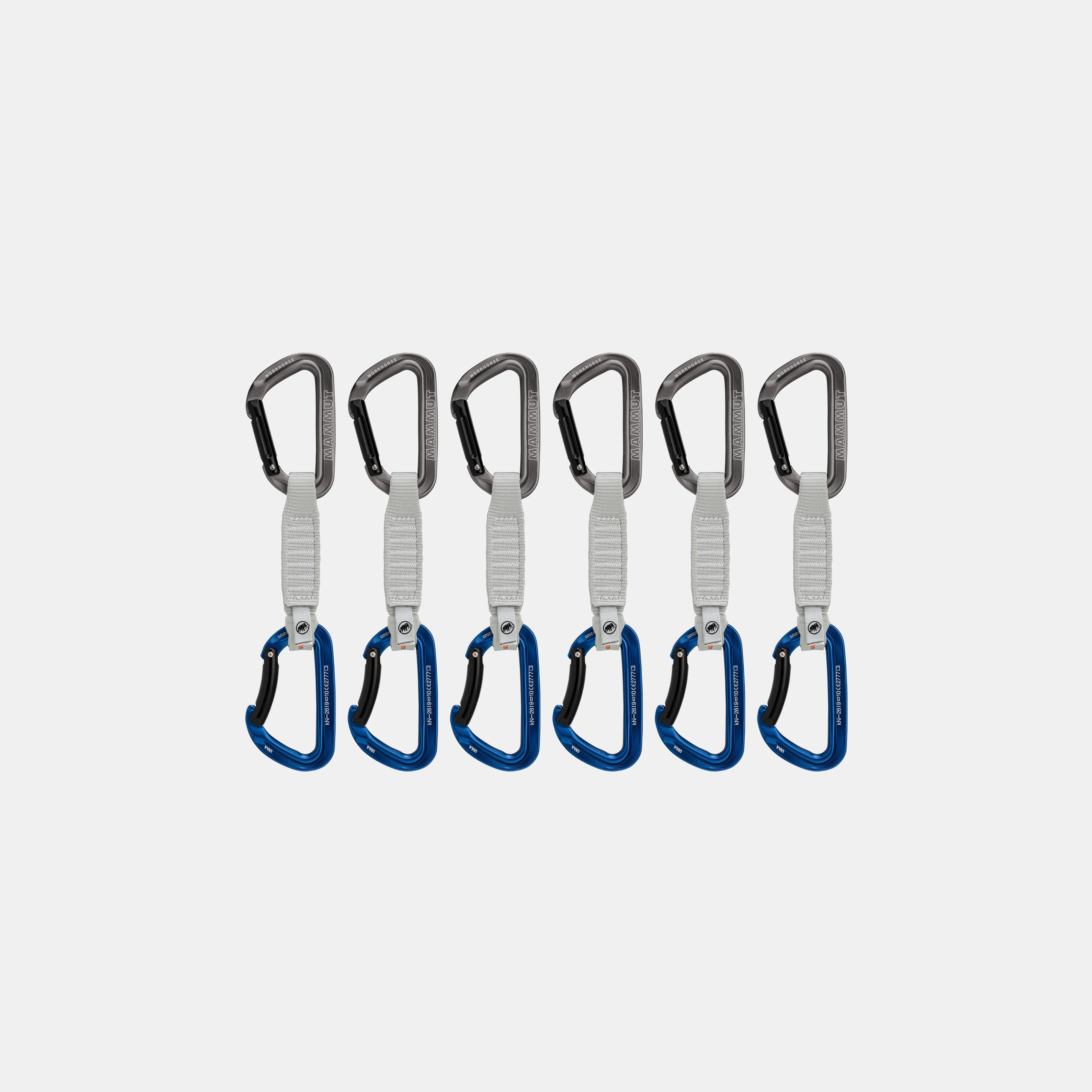 Workhorse Keylock 12 cm 6-Pack Quickdraws 2040-02571