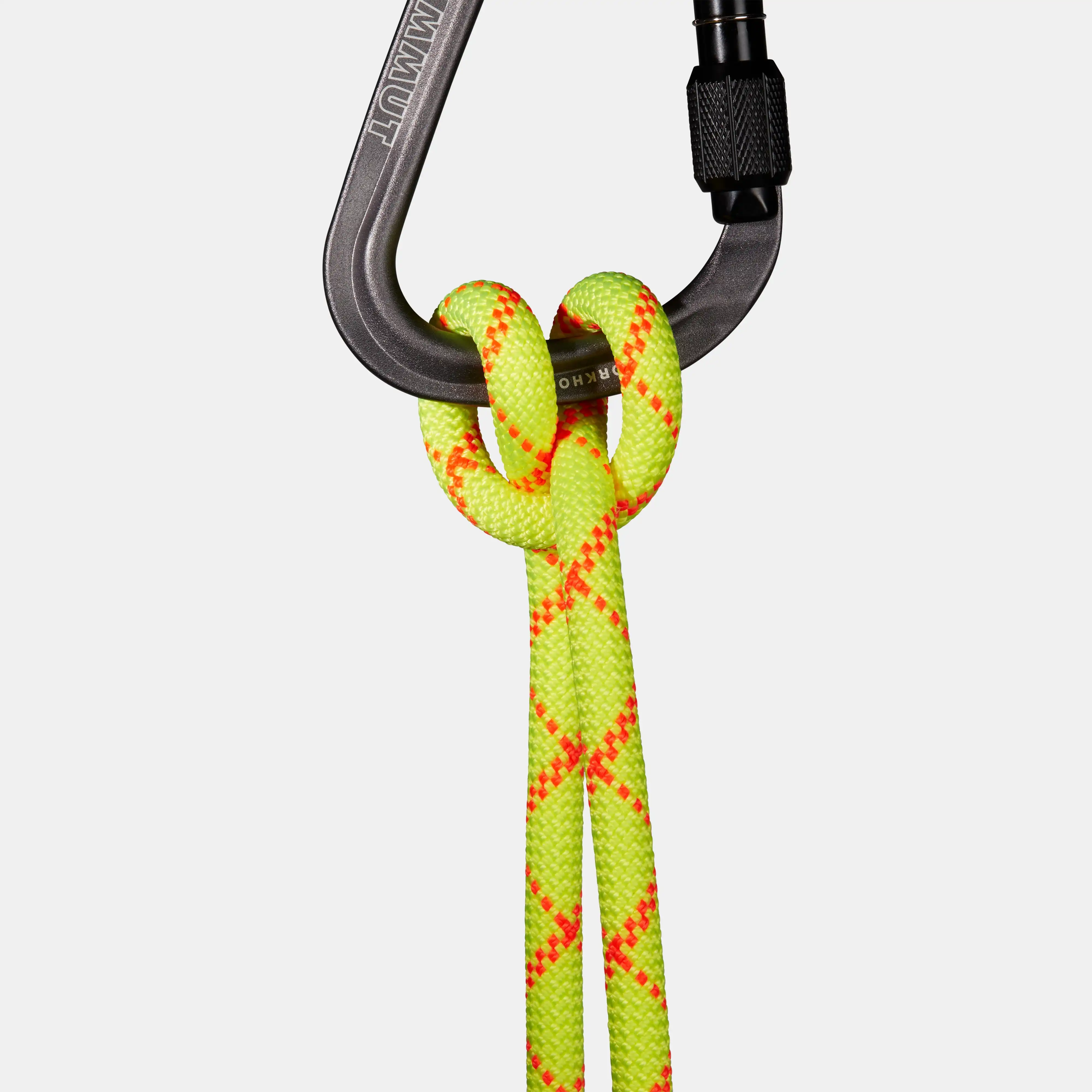 9.5 Alpine Core Protect Dry Rope 2010-04600