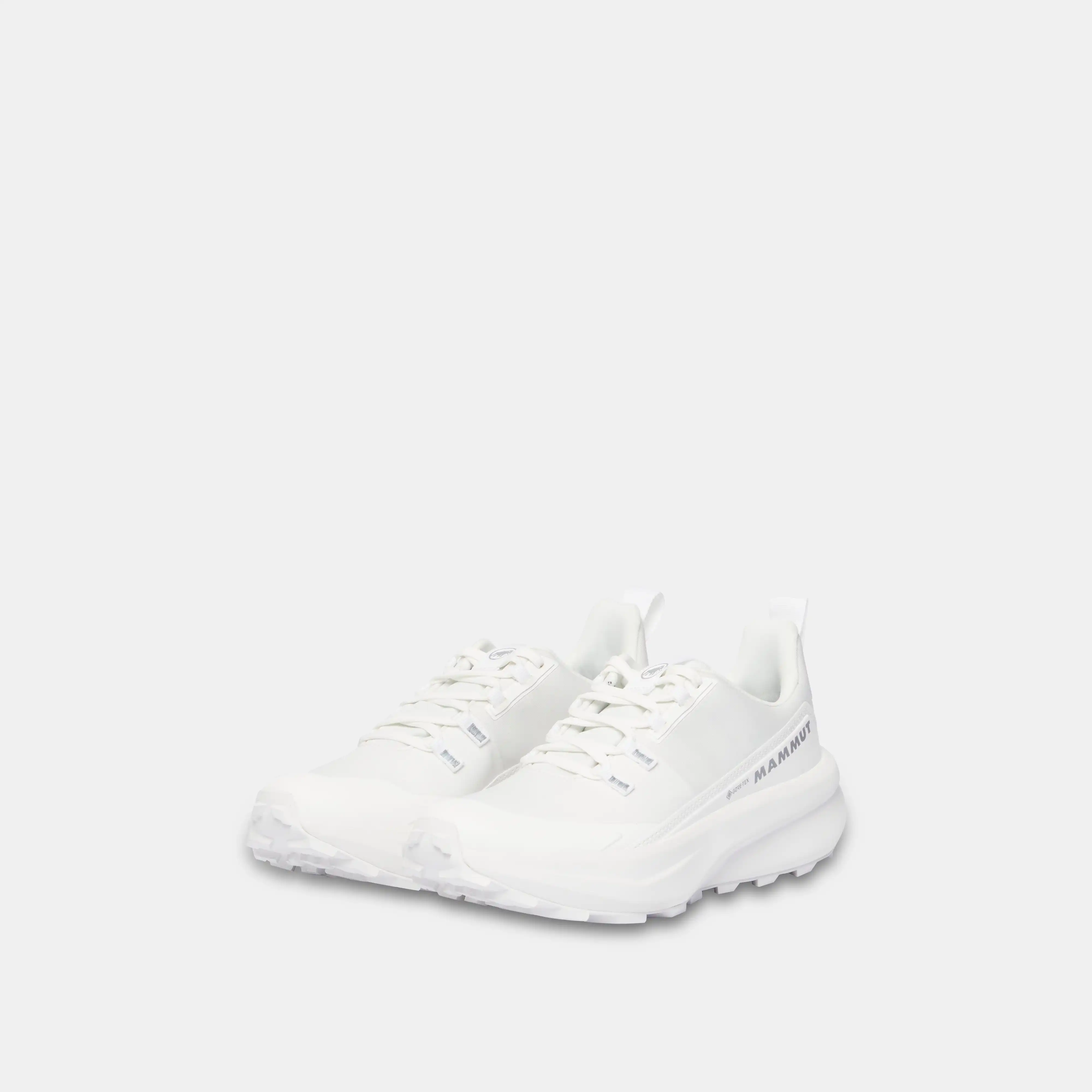 Aenergy Hike Low GTX Women 3030-05220