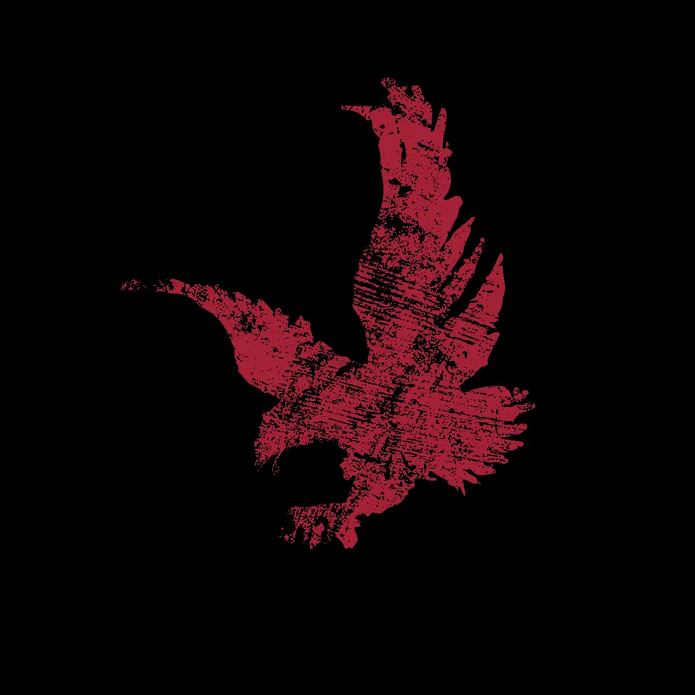 Freedom Flag Full-Zip Hoodie - Black