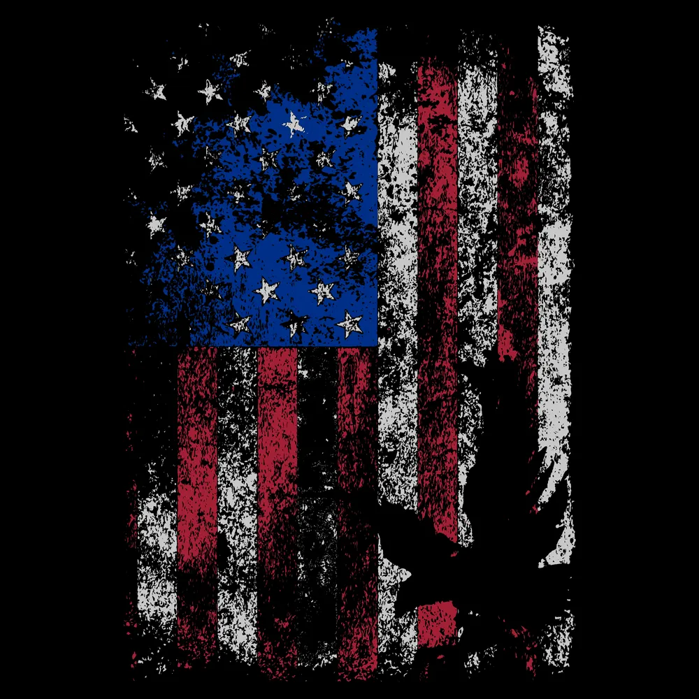 Freedom Flag Full-Zip Hoodie - Black