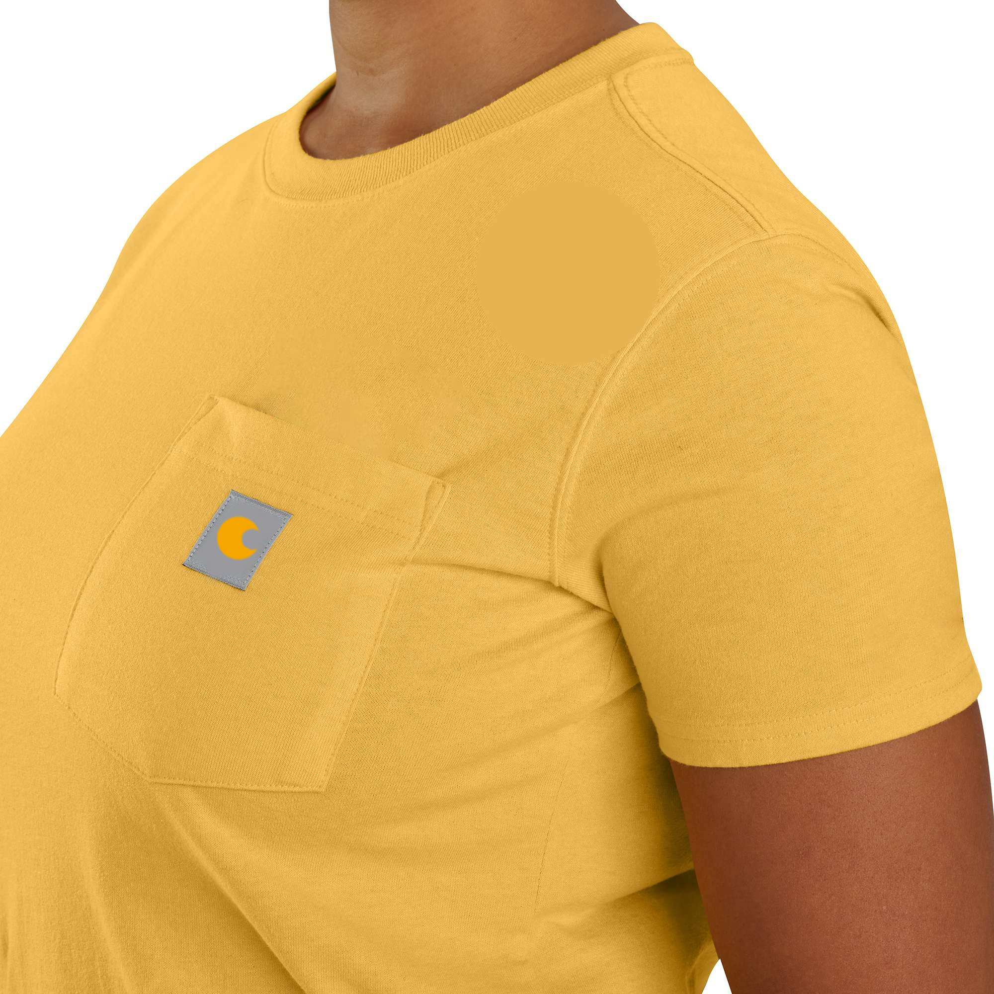 Relaxed Fit Heavyweight Short-Sleeve Denali National Park Graphic T-Shirt