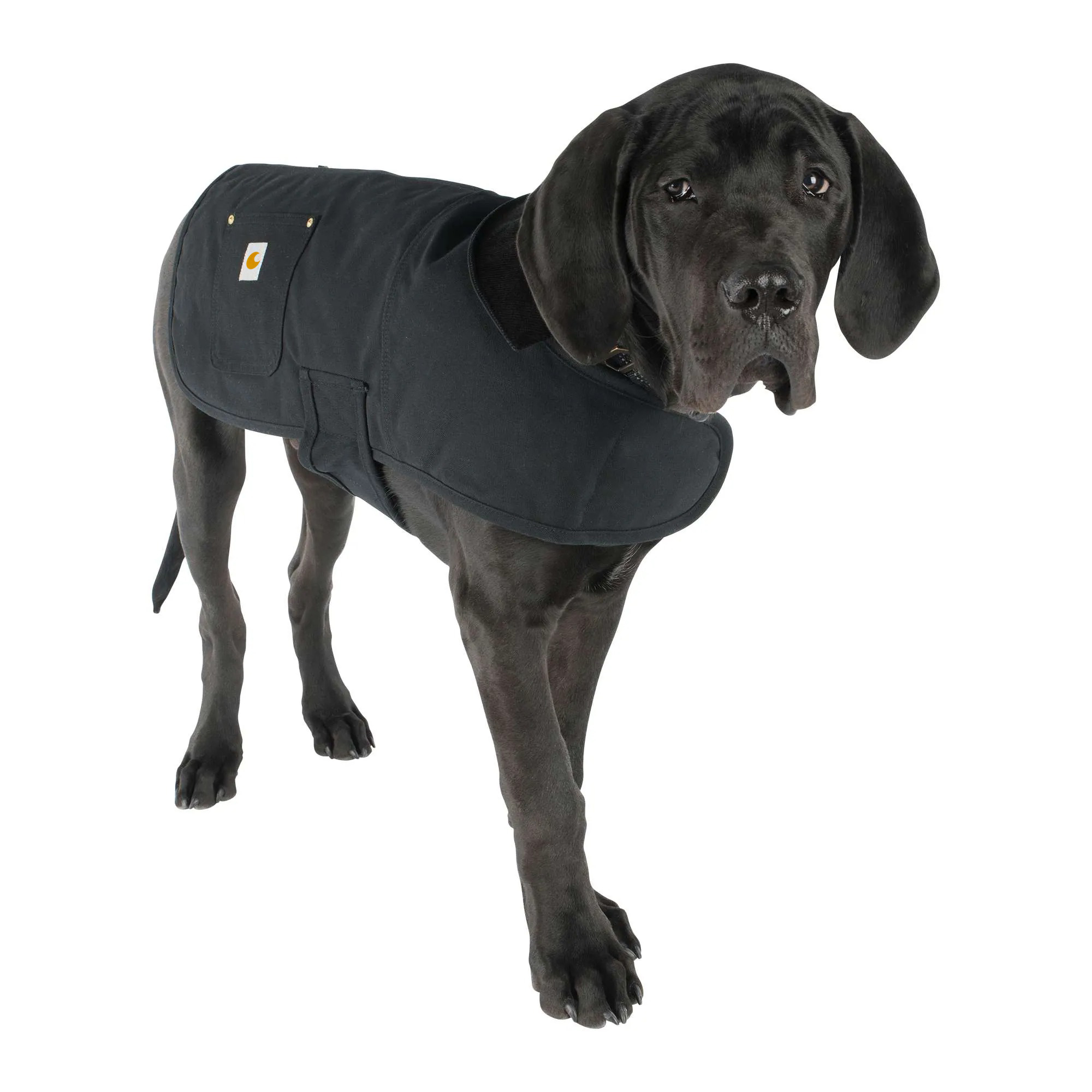 Dog Chore Coat
