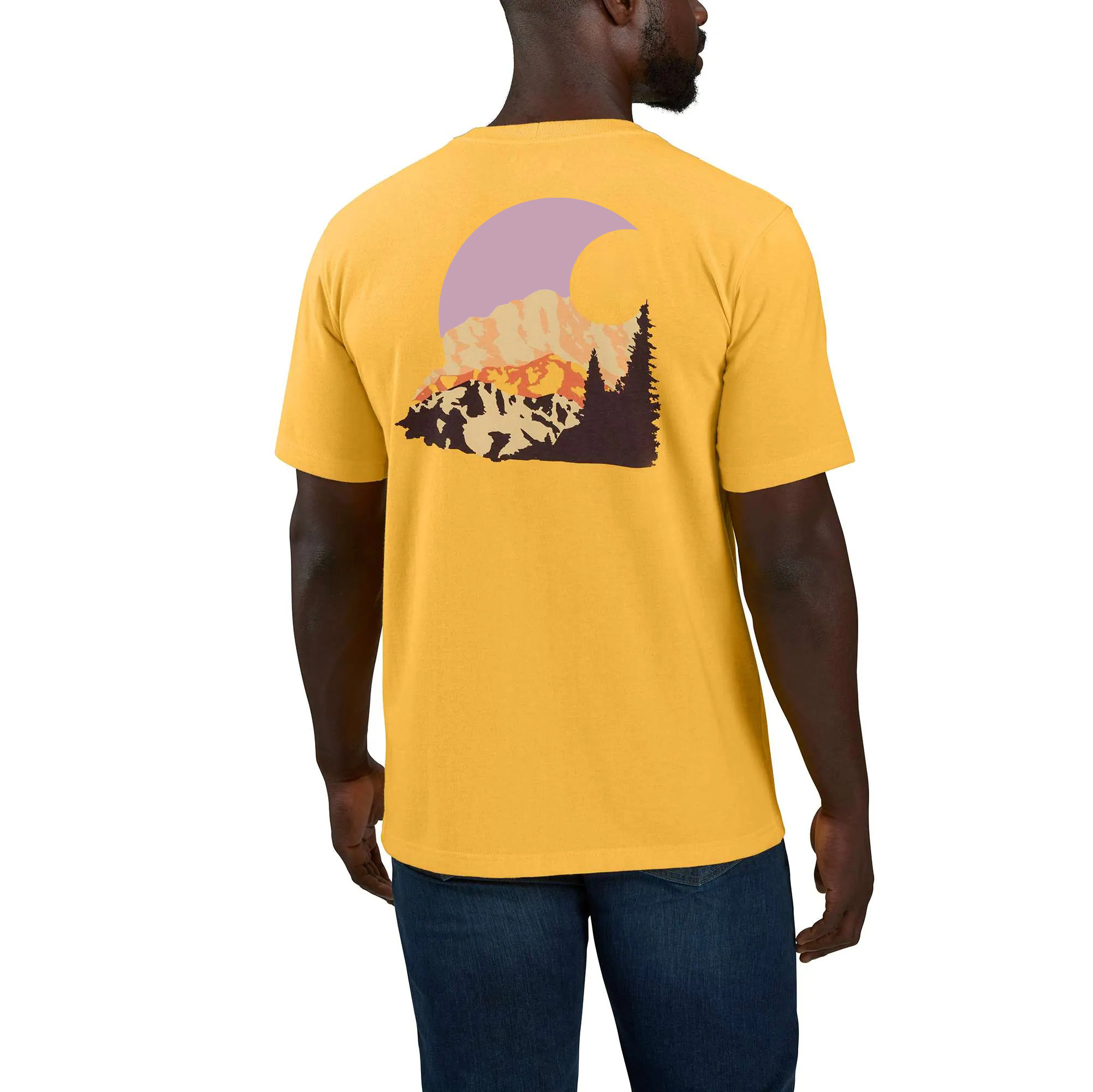 Relaxed Fit Heavyweight Short-Sleeve Denali National Park Graphic T-Shirt