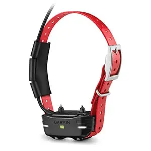 TB 10 Dog Device Red Collar