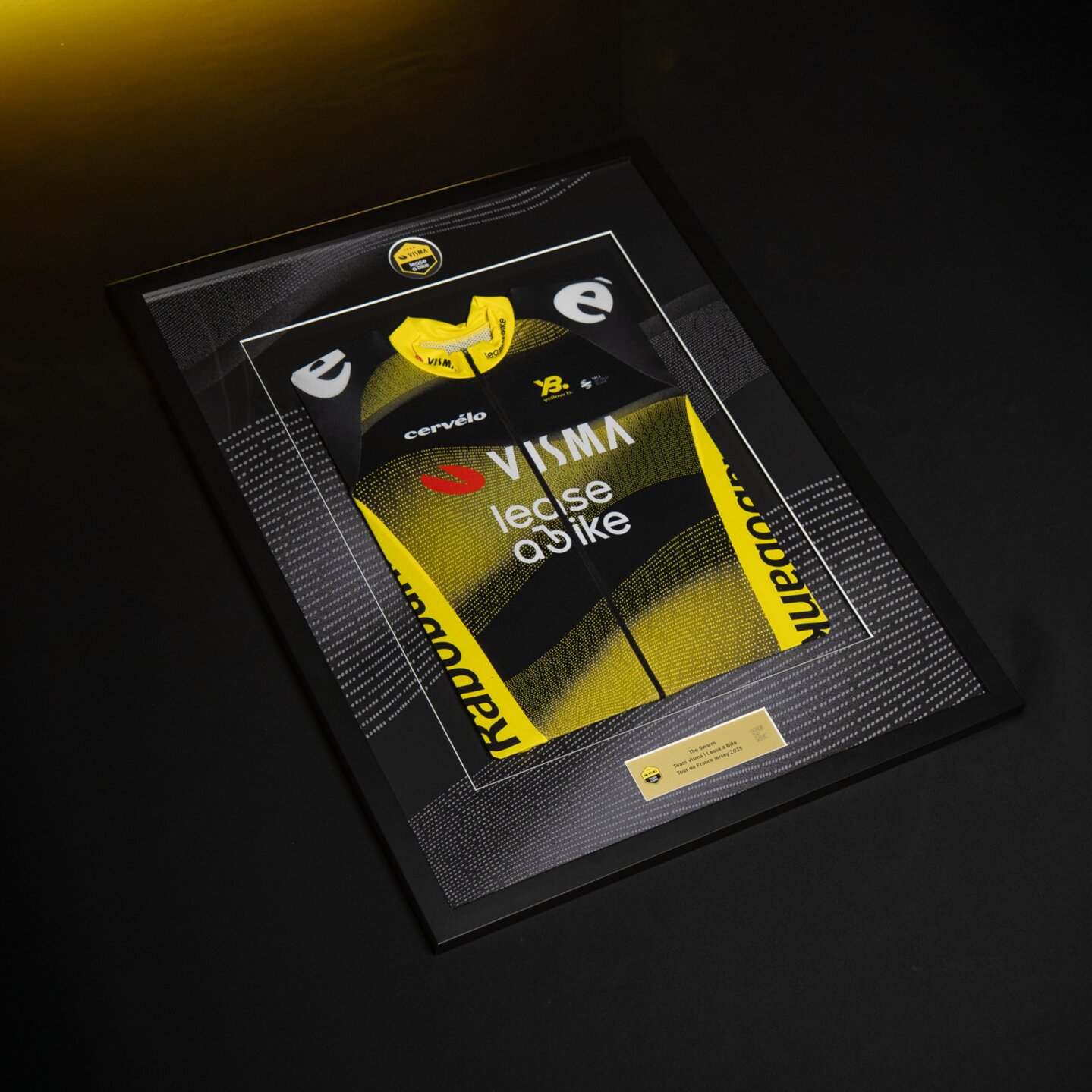 Framed cycling jersey - The Swarm