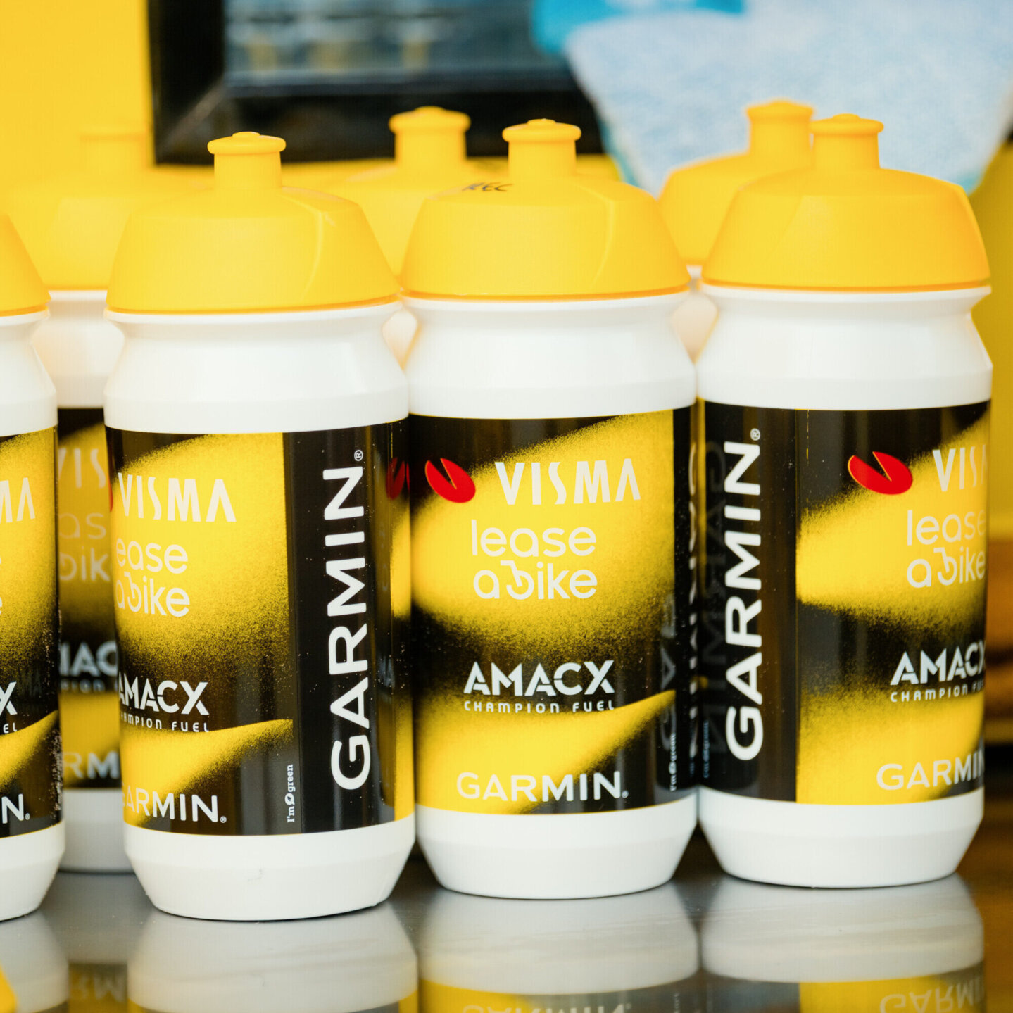 Bottle 500 ml - The Swarm