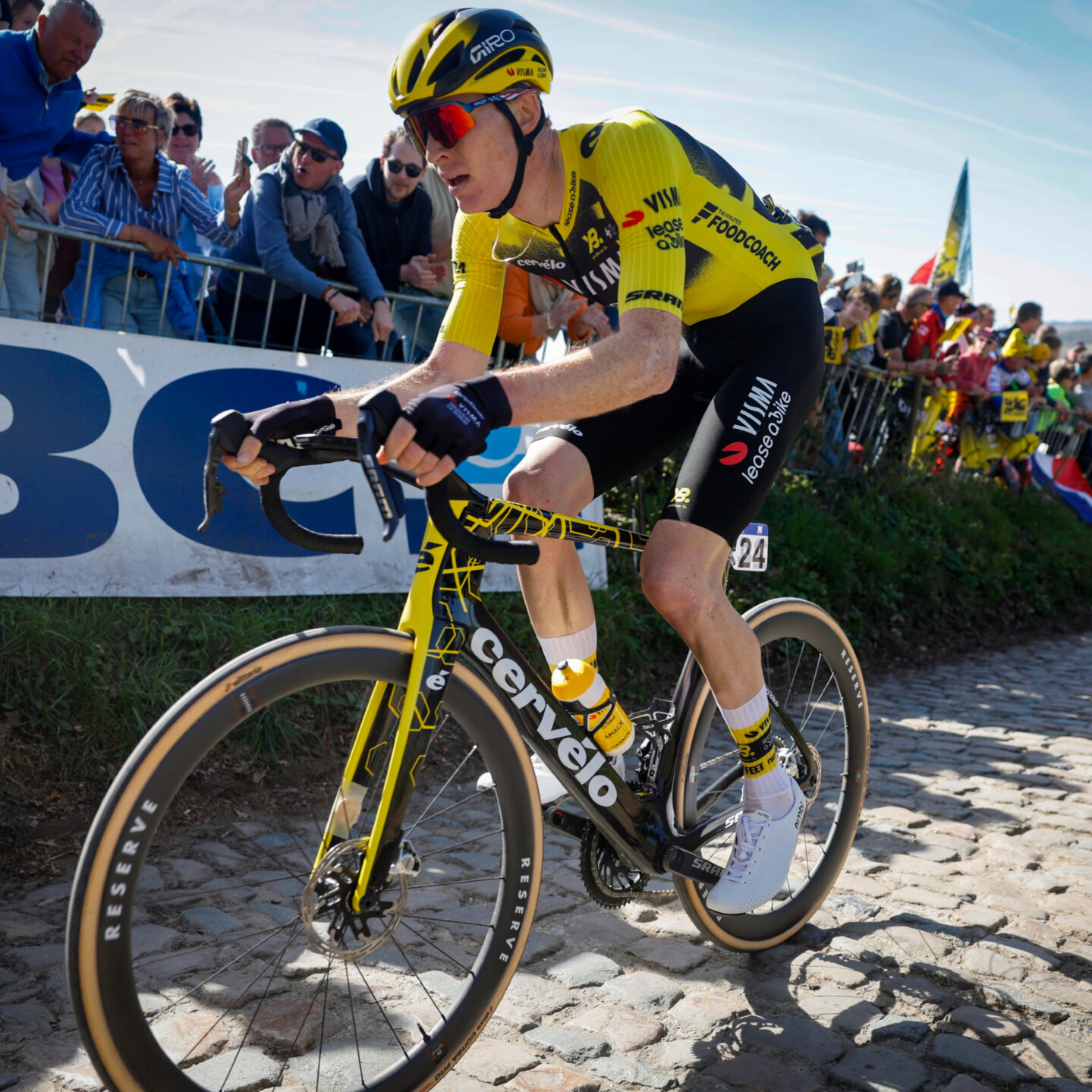 Cycling jersey men - The Wingbeat