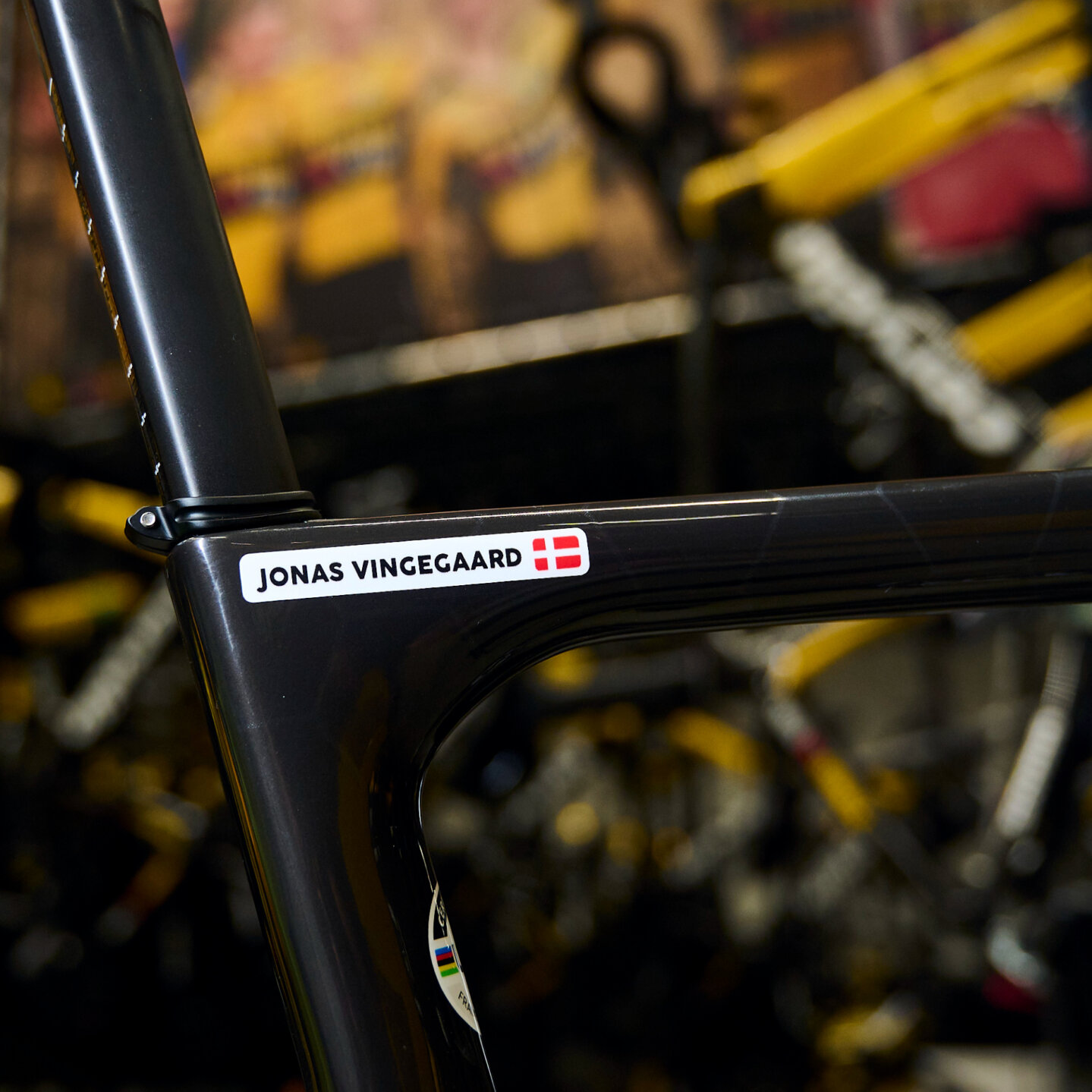 Name Stickers - Pro Bike Sticker