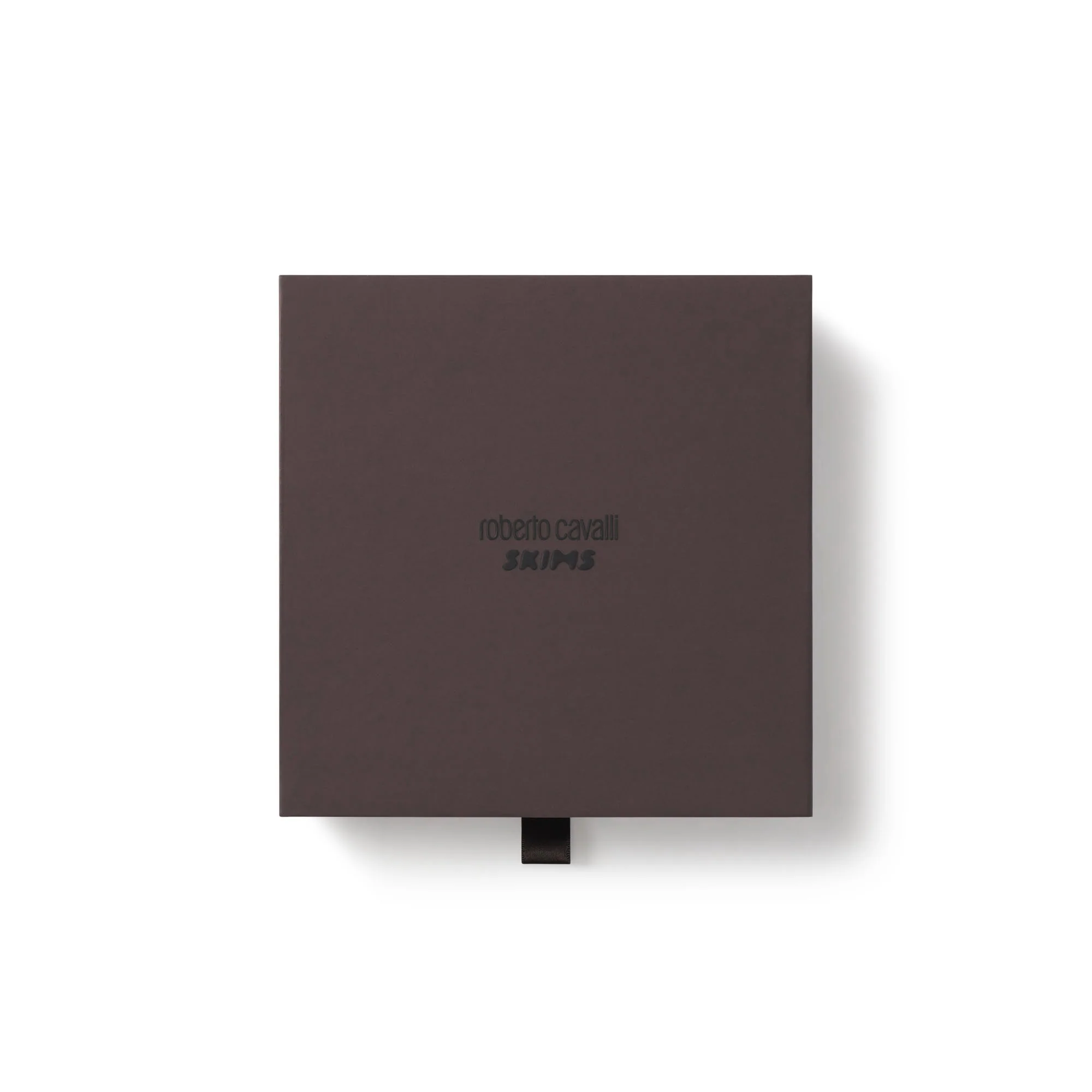 ROBERTO CAVALLI X SKIMS DIPPED BIKINI BOTTOM | TIGER FACE PRINT