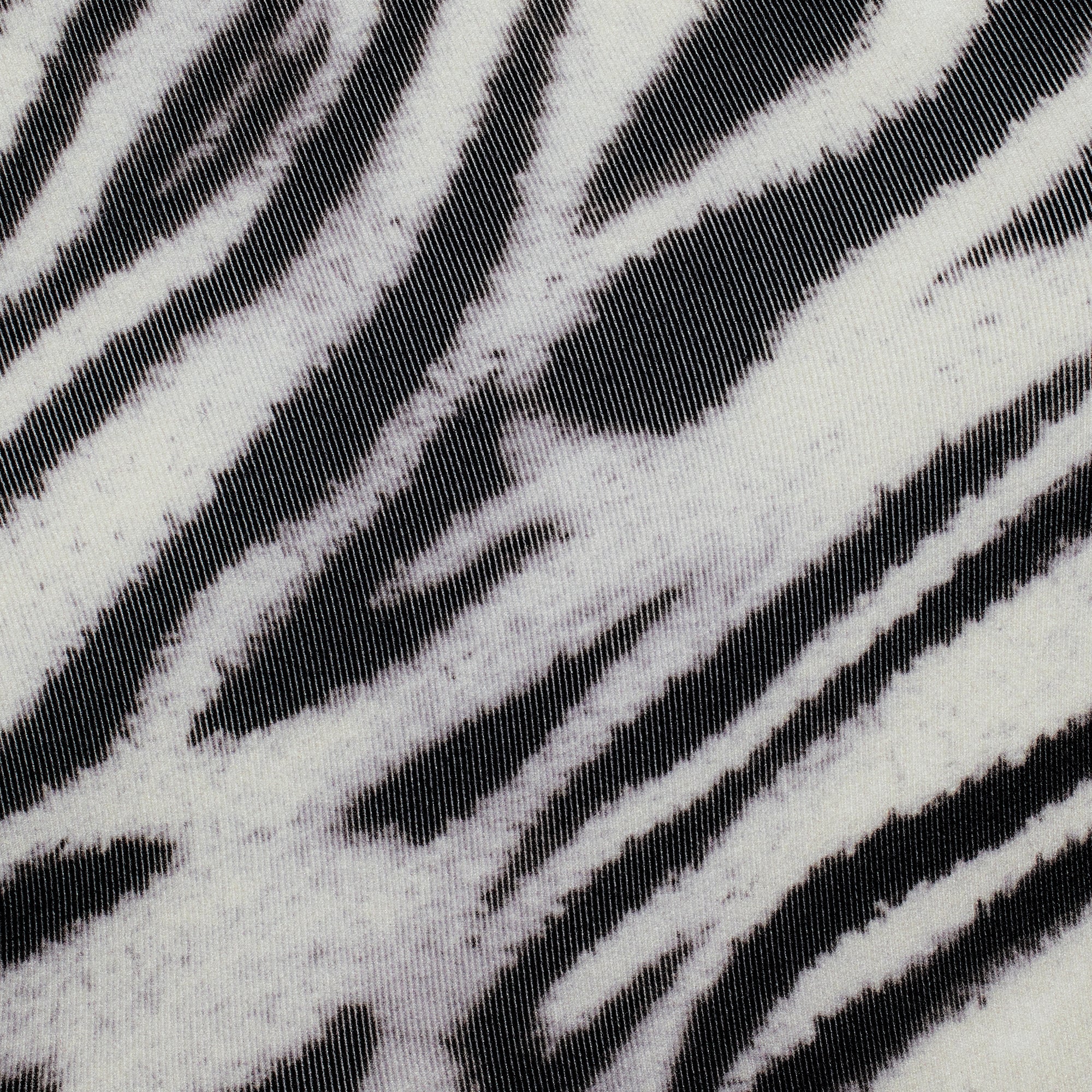 FITS EVERYBODY THONG 5-PACK | PHOENIX ANIMAL MULTI