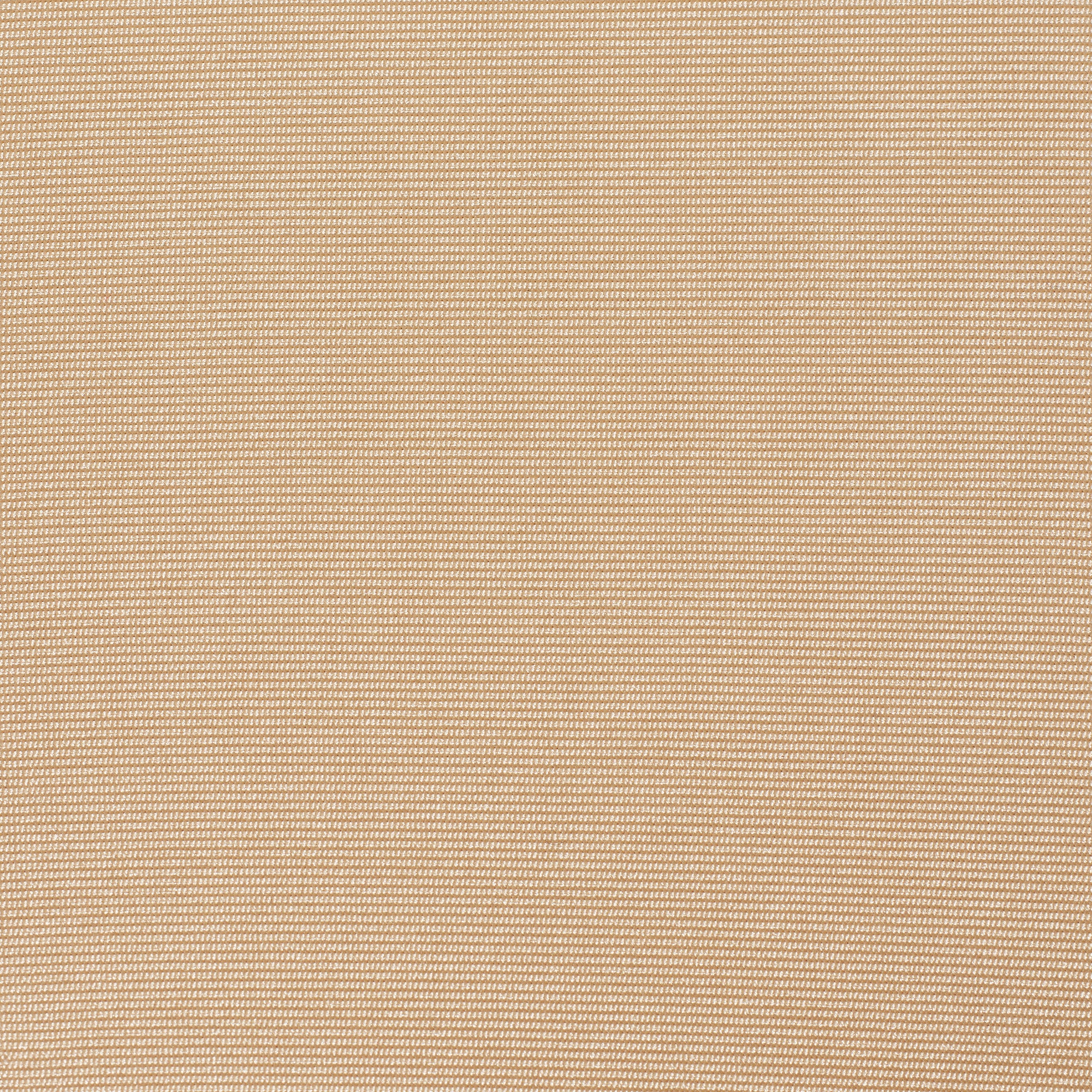 SKIMS BODY CORE SCULPT WAIST CINCHER BUTT LIFTING BRIEF | CLAY