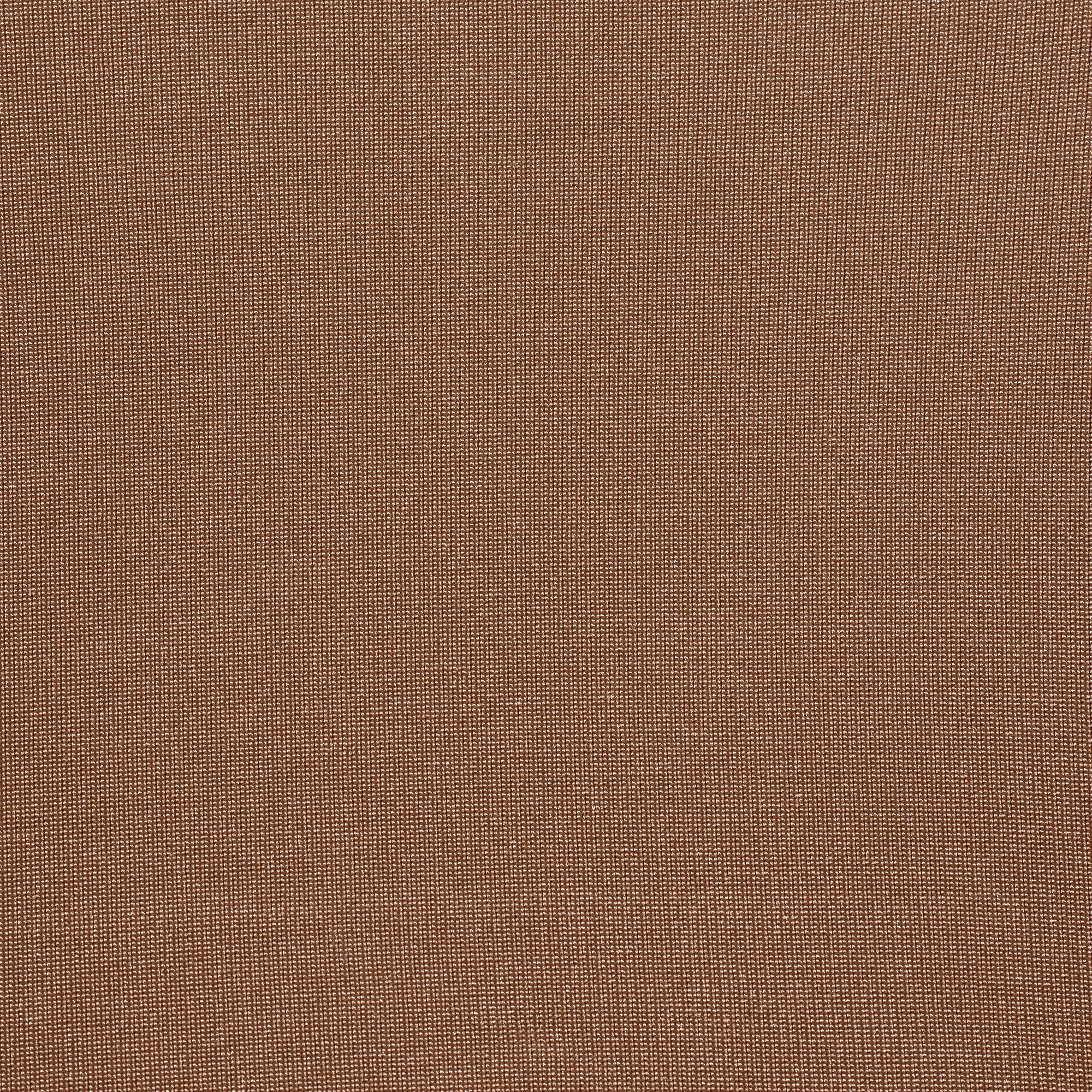 SKIMS BODY CORE SCULPT WAIST CINCHER THONG | CLAY