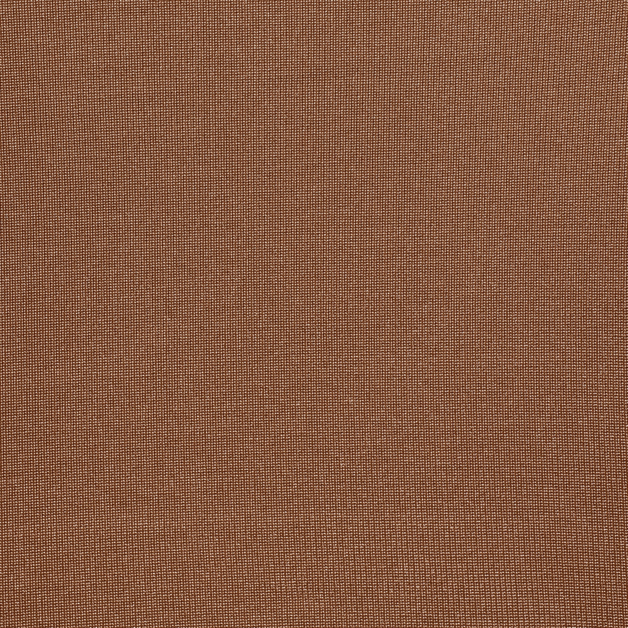 SKIMS BODY CORE SCULPT WAIST CINCHER BUTT LIFTING BRIEF | CLAY