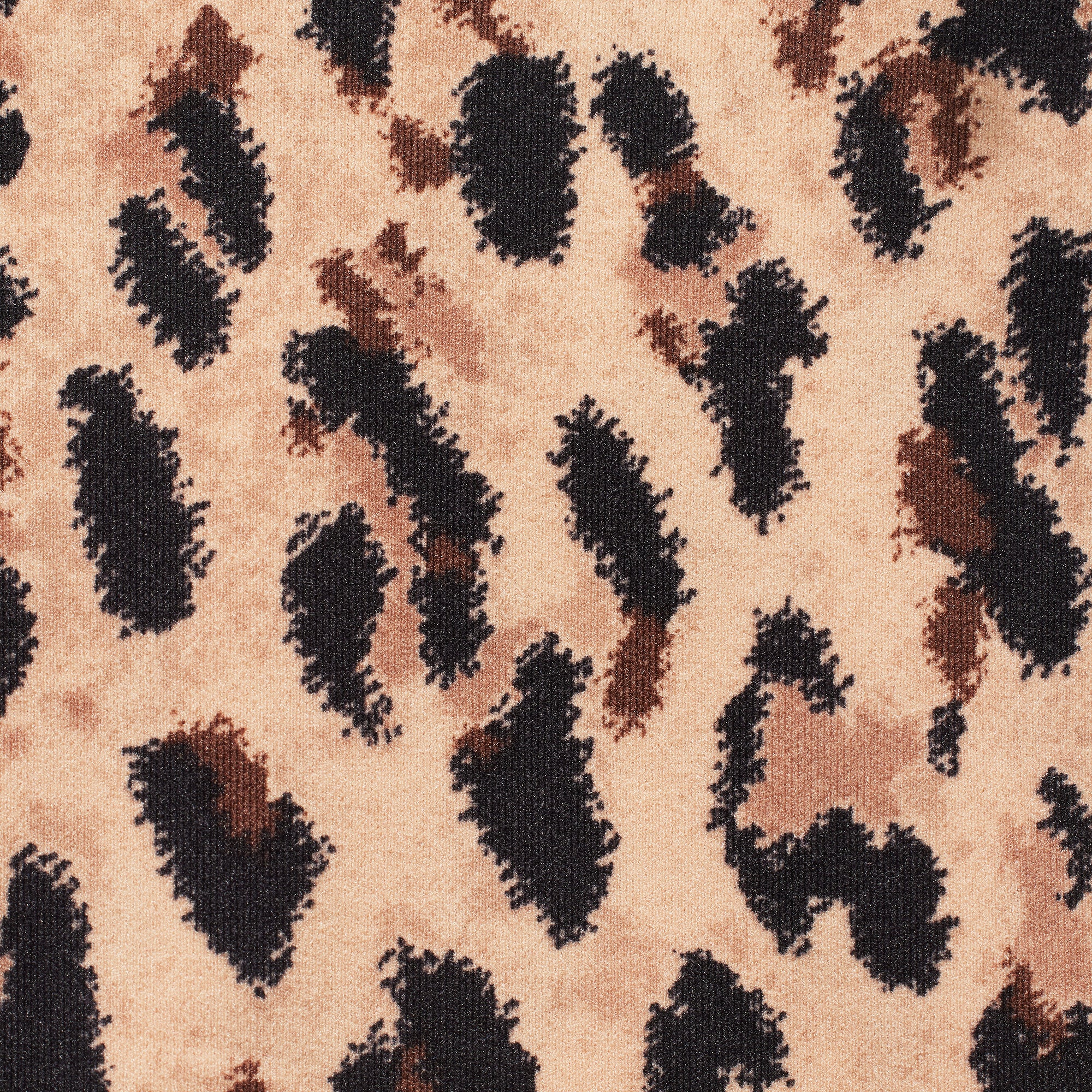 FITS EVERYBODY THONG 5-PACK | PHOENIX ANIMAL MULTI