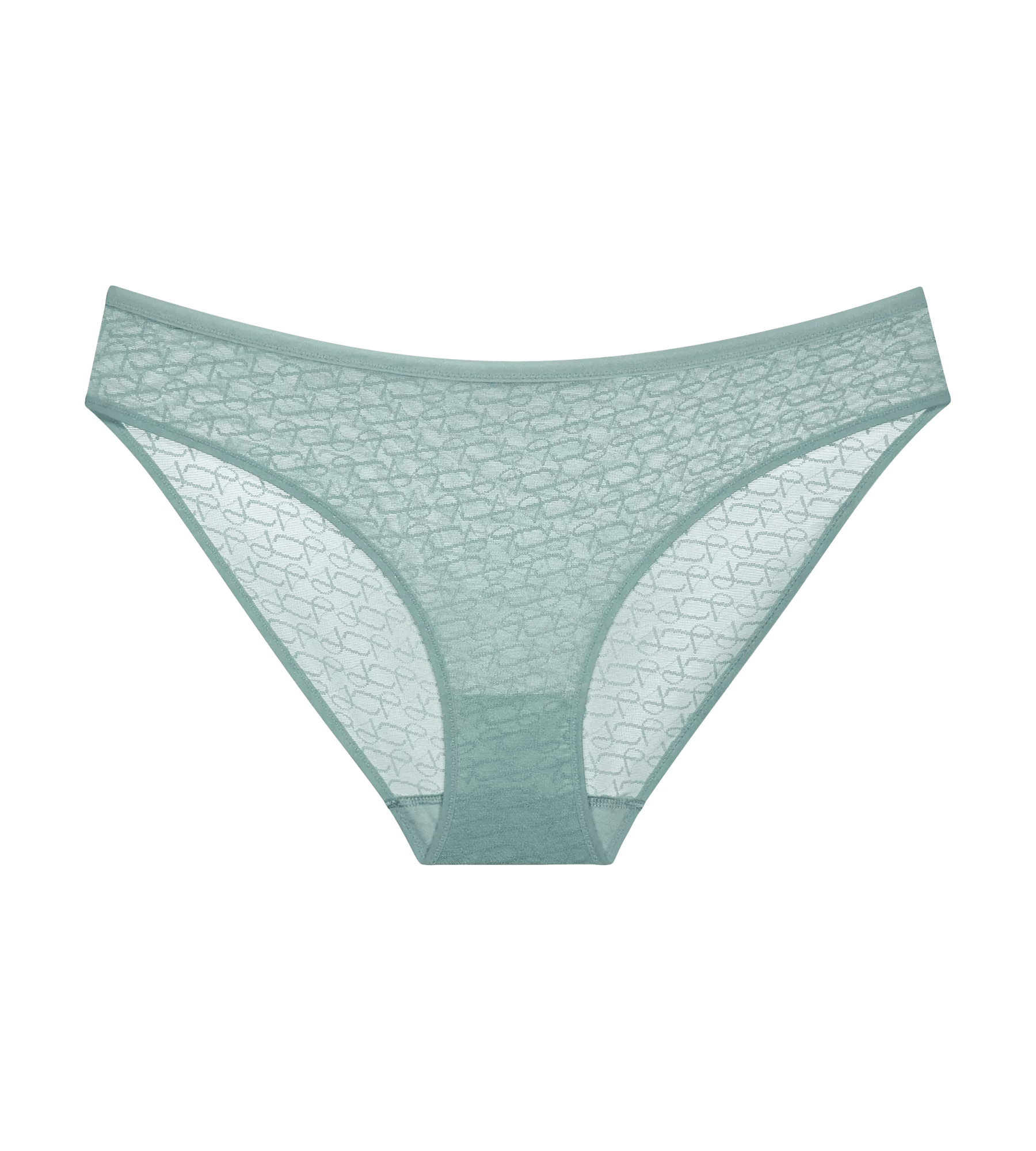 Triumph Signature Sheer  Hipster