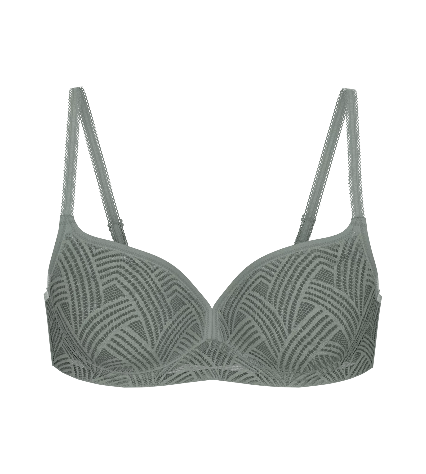 Delightful Spotlight  Padded bras