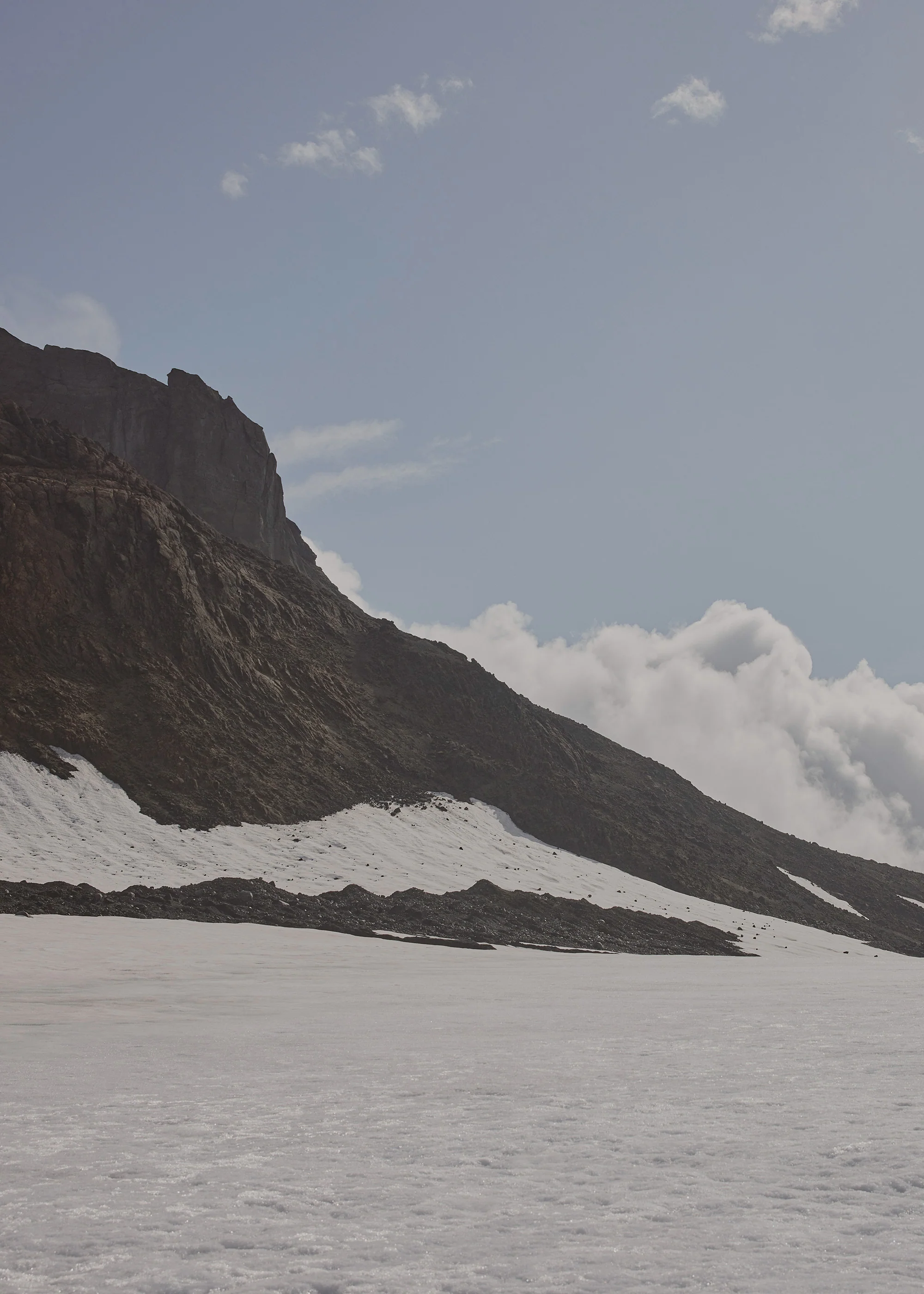 Numéro Un Nano - Textured Tan