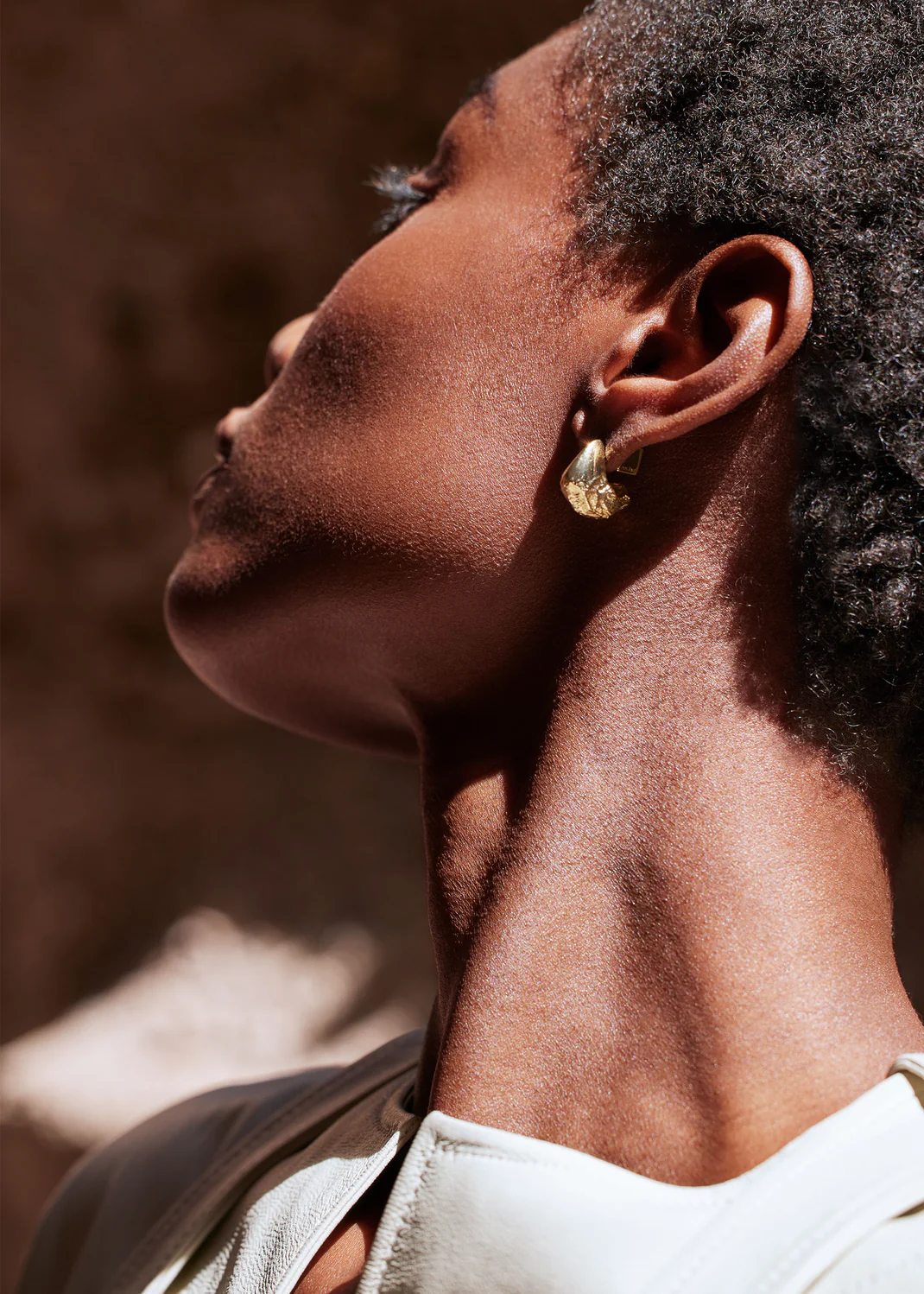 Eroz Stud Earrings-Edition 24 carat gold gilded