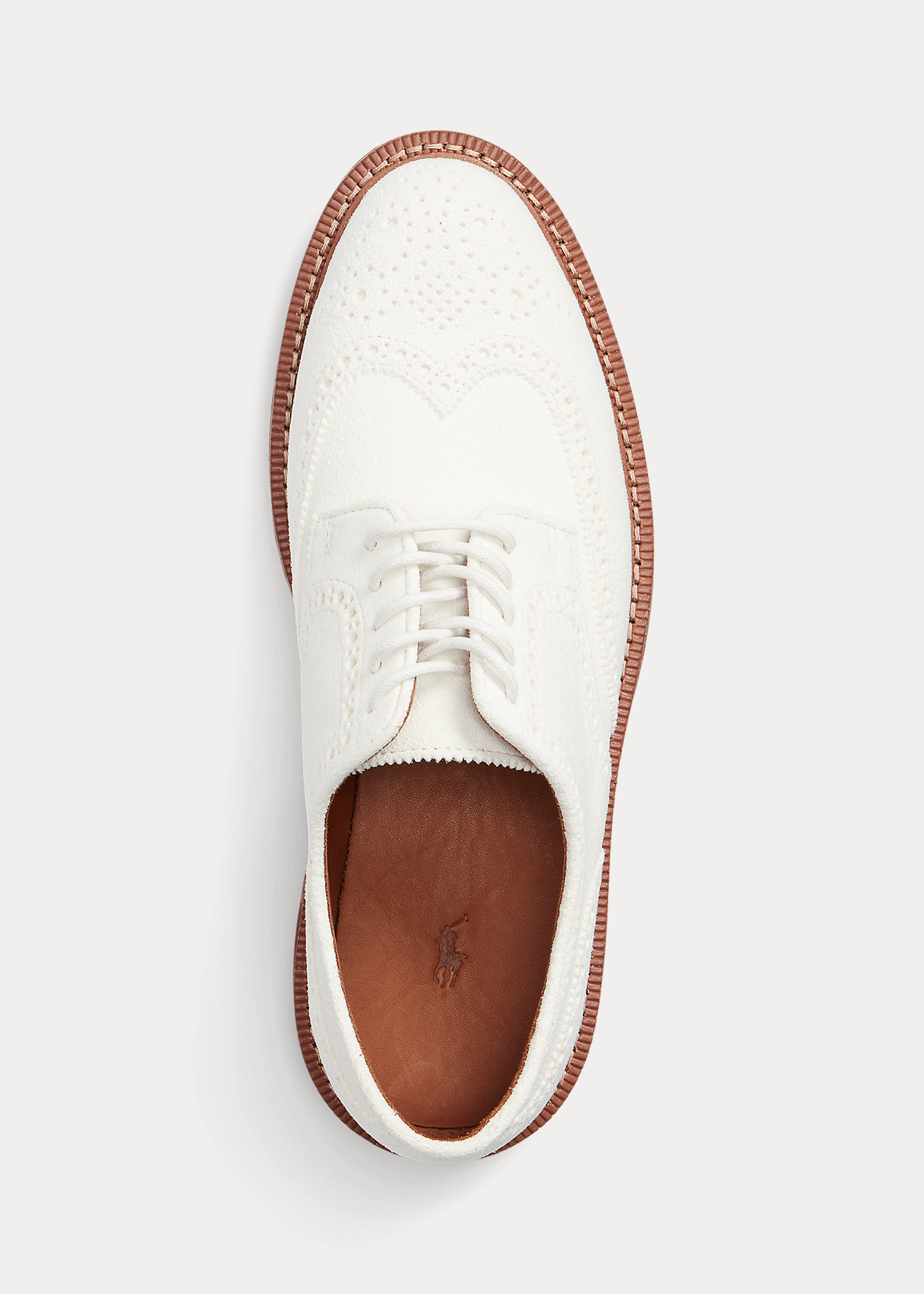 Wingtip Oxford