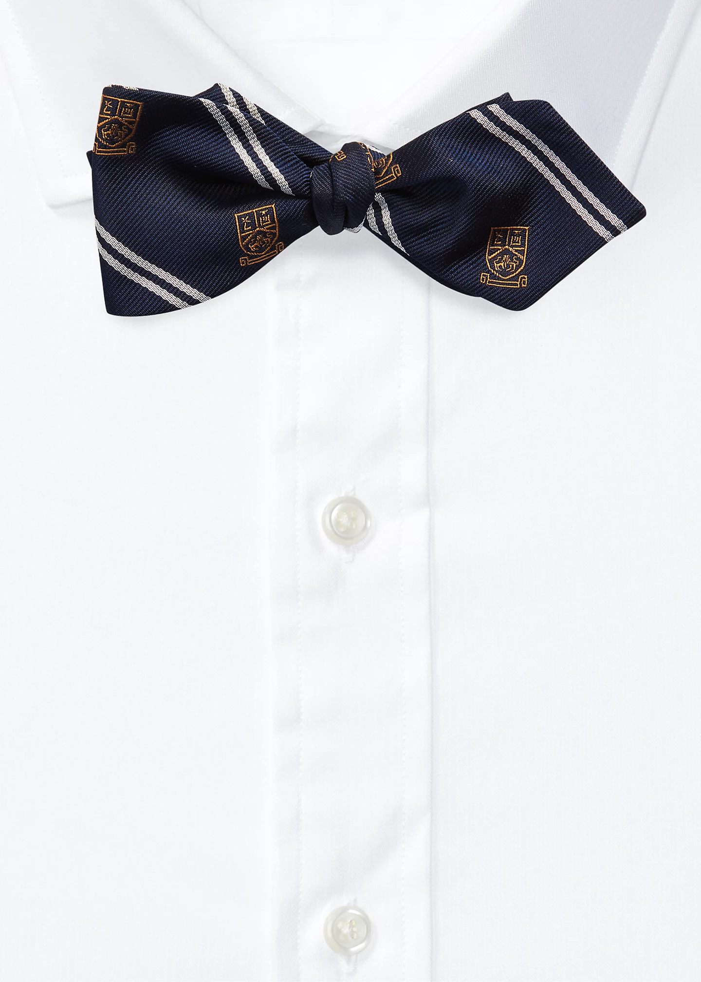 Striped Silk Club Bow Tie