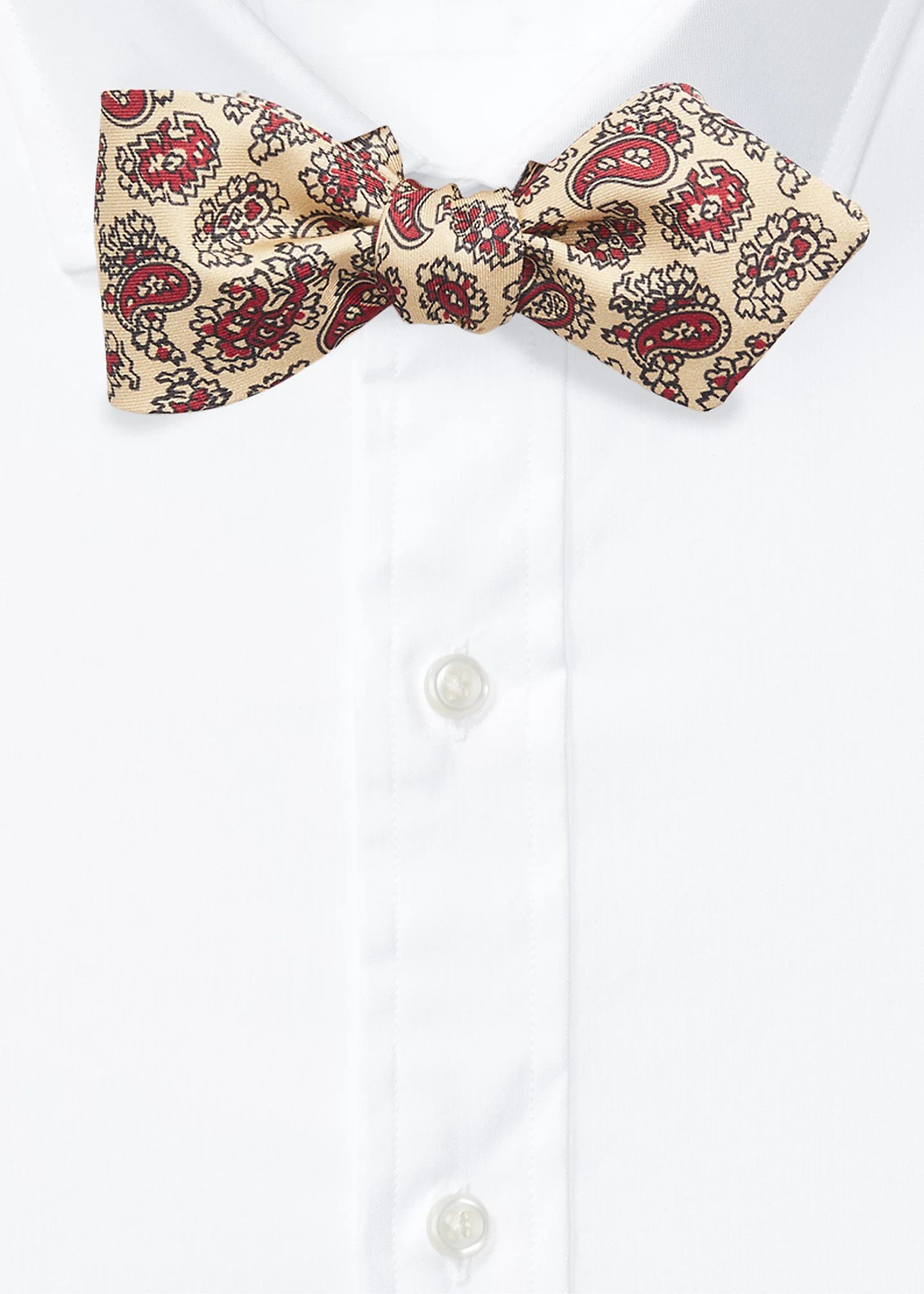 Paisley Silk Twill Bow Tie