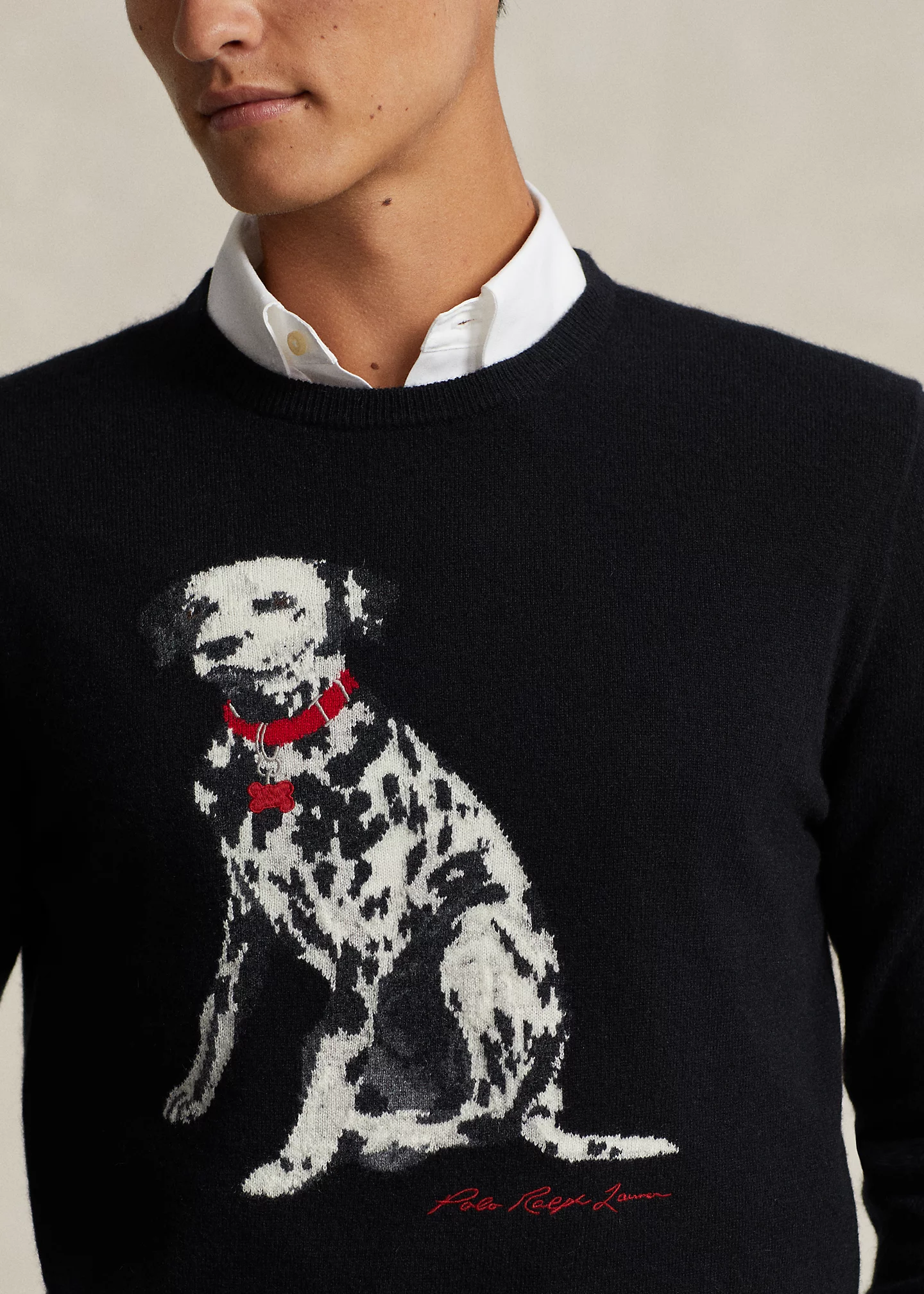 Dalmatian Intarsia-Knit Cashmere Sweater