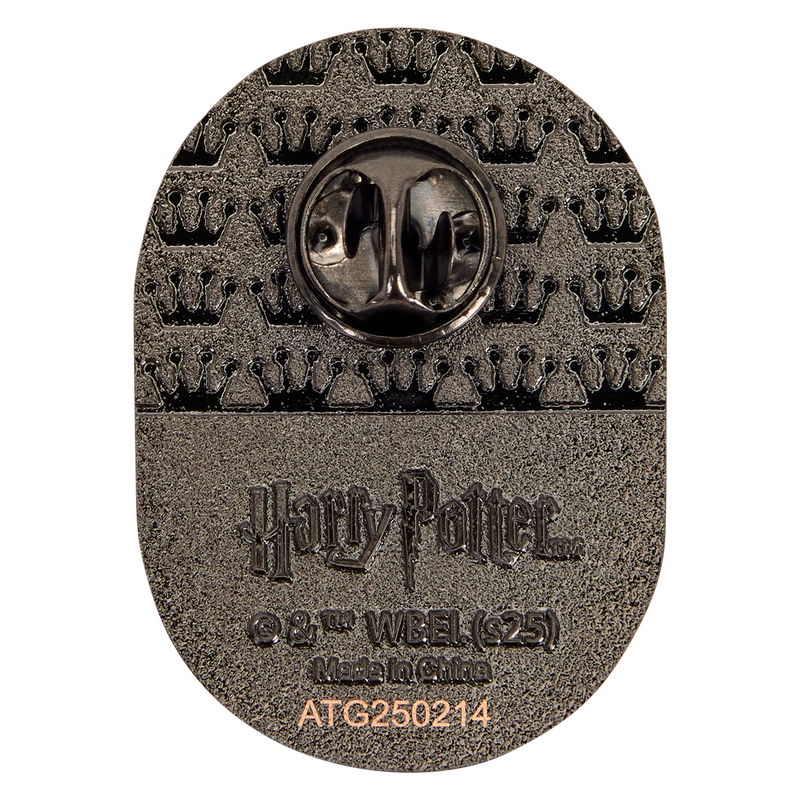 Harry Potter Exclusive Quidditch Mystery Box Pin