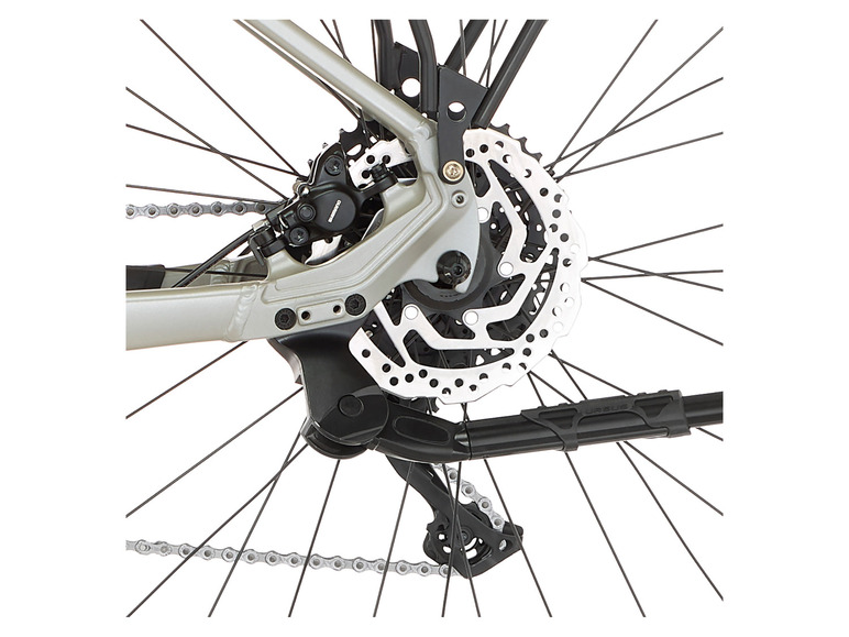 FISCHER E-Bike ATB »Terra 4.0i«, 29 Zoll