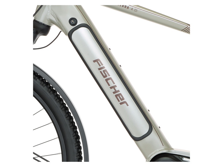 FISCHER E-Bike ATB »Terra 4.0i«, 29 Zoll