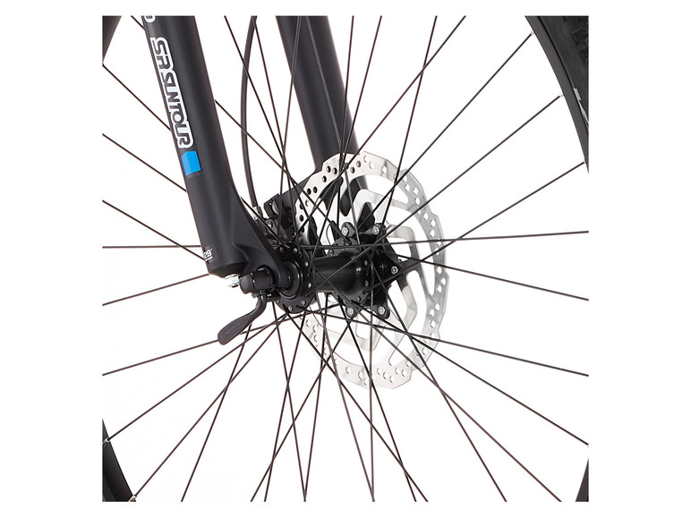 FISCHER E-Bike Mountainbike MONTIS EM 1724.1, MTB, 29 Zoll, Modell 2022