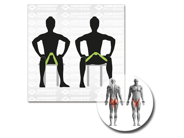 Schildkröt Fitness Oberschenkel Trainer / Leg Trainer