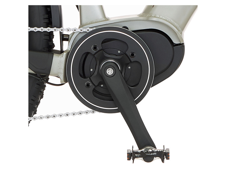 FISCHER E-Bike ATB »Terra 4.0i«, 29 Zoll