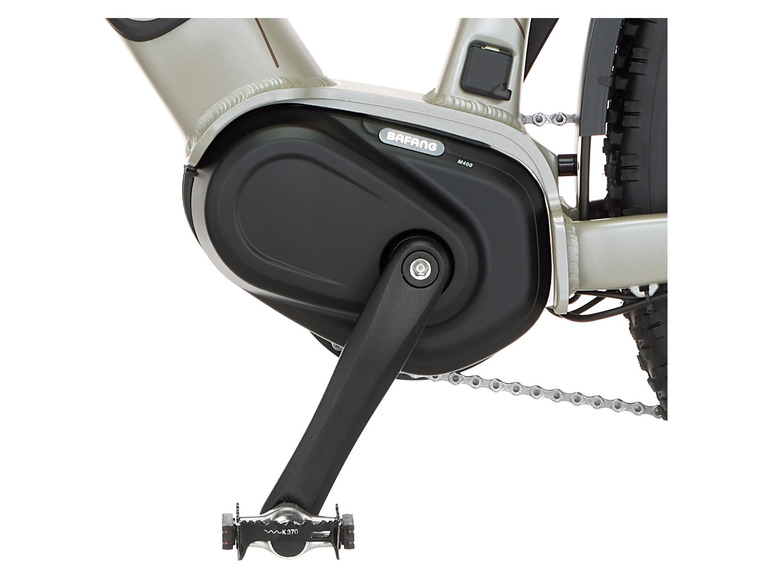 FISCHER E-Bike ATB »Terra 4.0i«, 29 Zoll