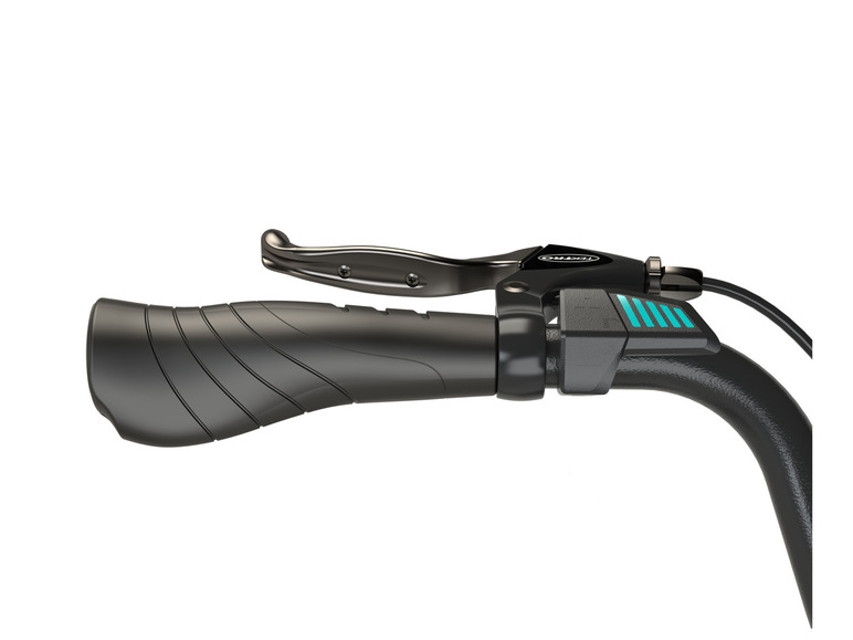 Prophete E-Bike Alu-City GENIESSER 1.0, 28 Zoll